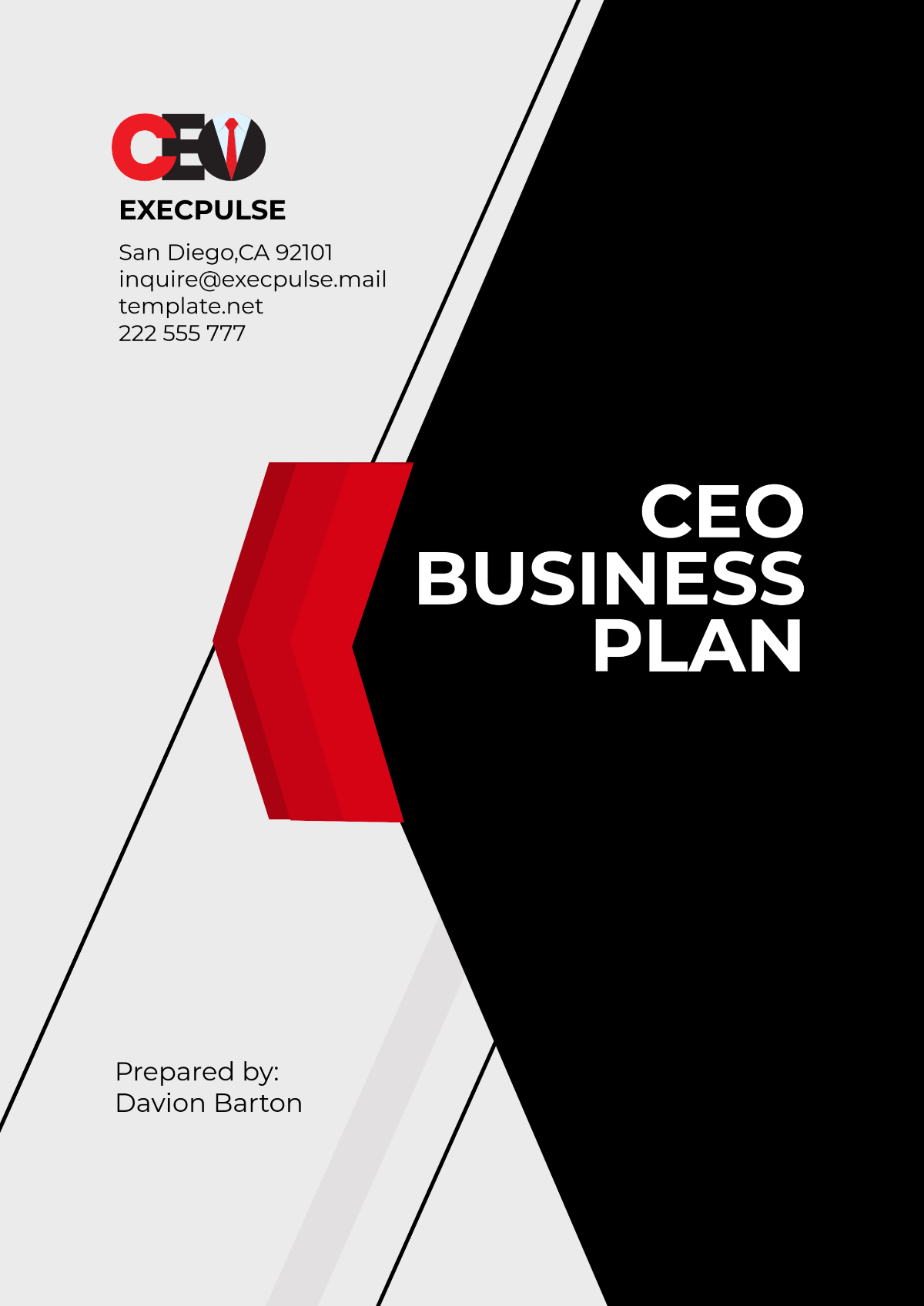 CEO Business Plan Template - Edit Online & Download