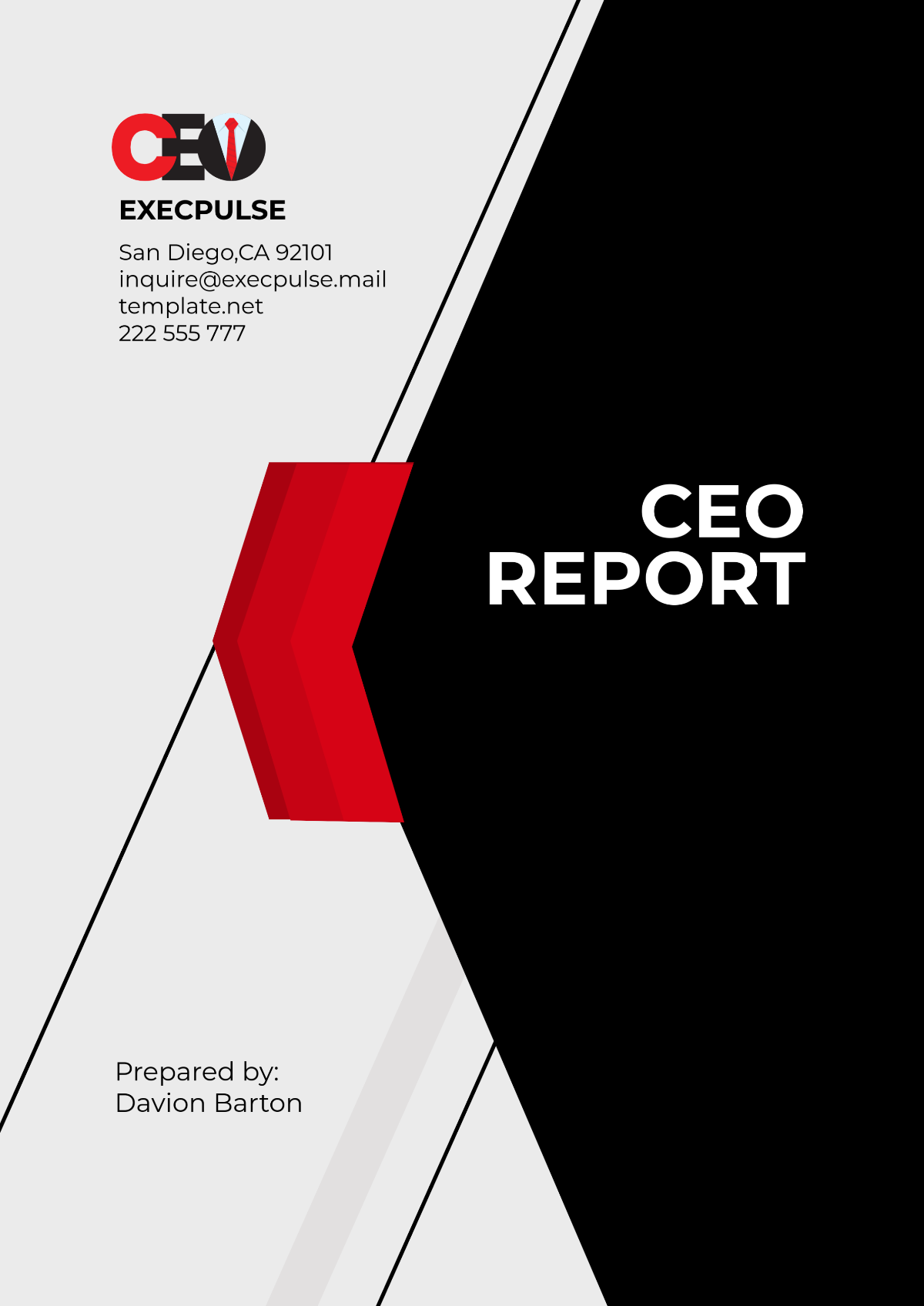 CEO Report Template - Edit Online & Download