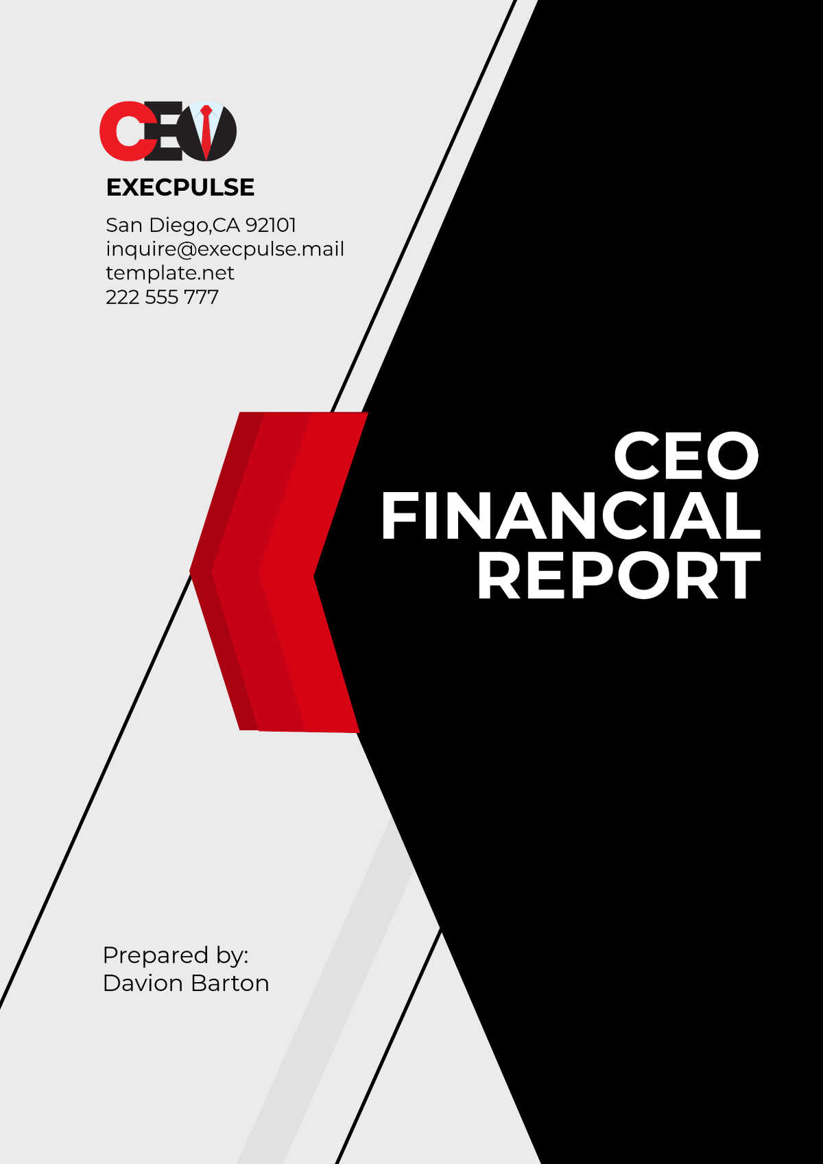 CEO Financial Report Template - Edit Online & Download