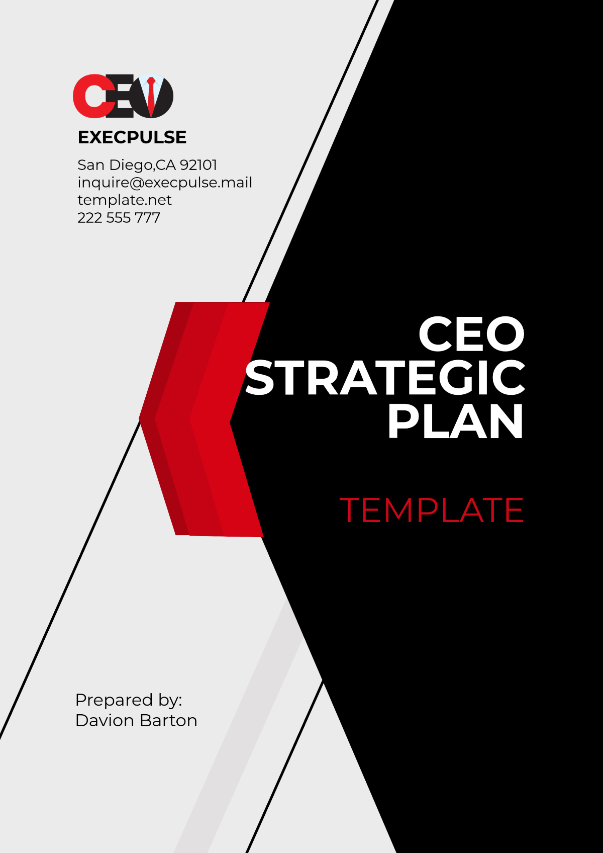 CEO Strategic Plan Template - Edit Online & Download