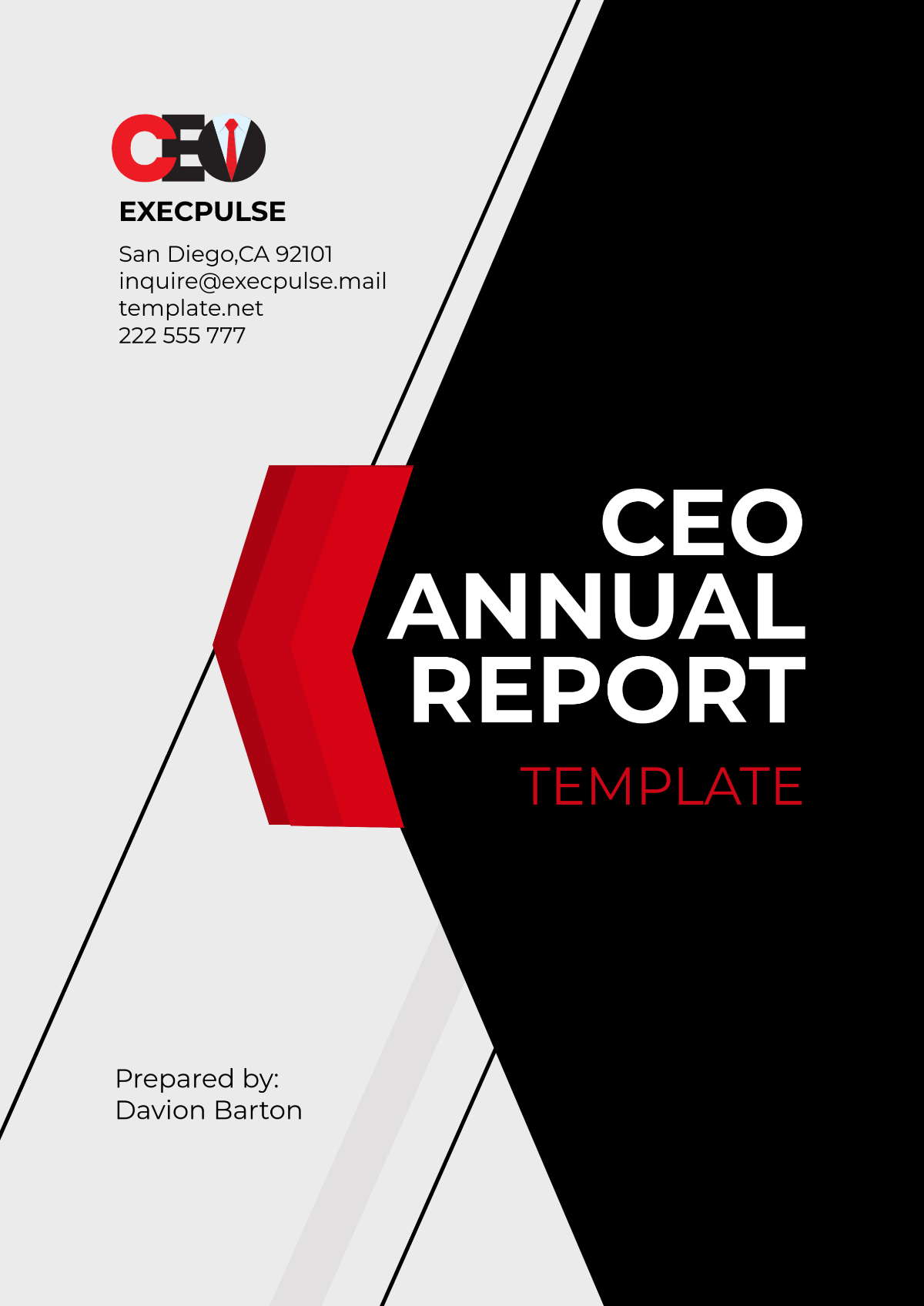 CEO Annual Report Template - Edit Online & Download