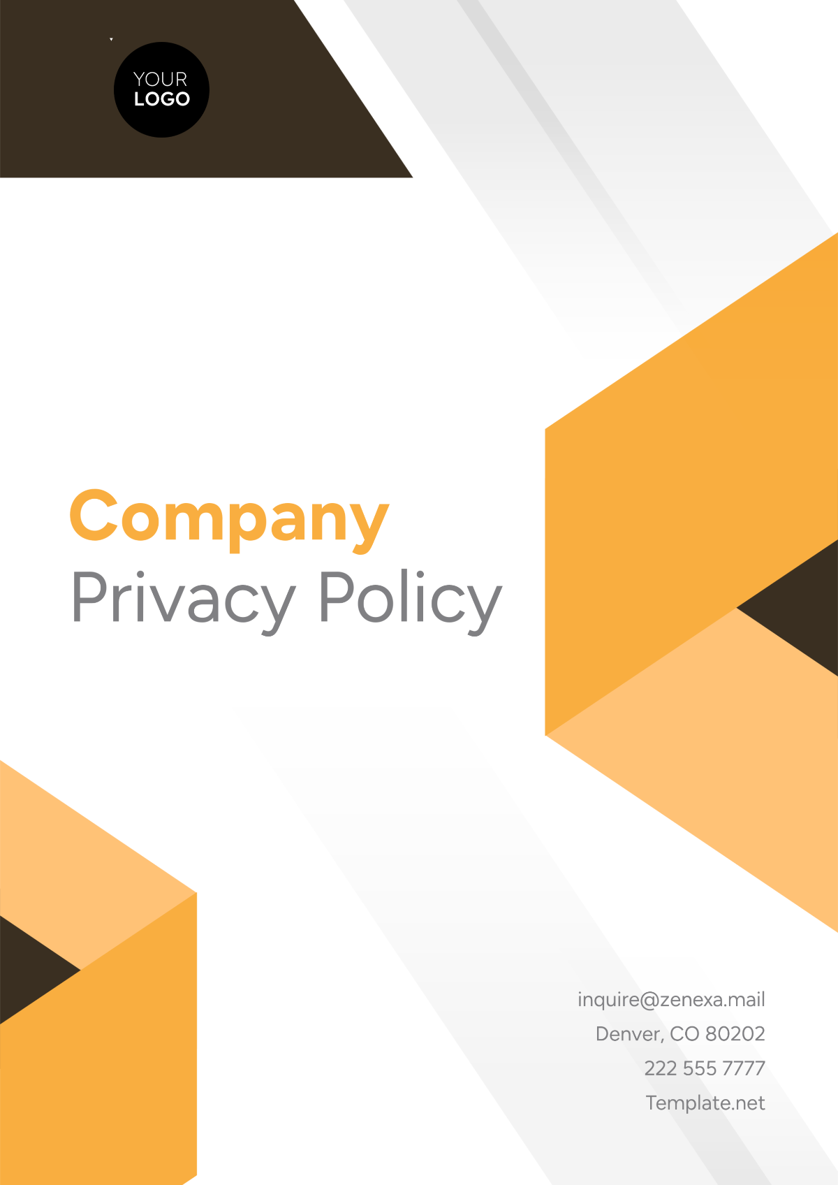 Professional Company Privacy Policy Template - Edit Online & Download