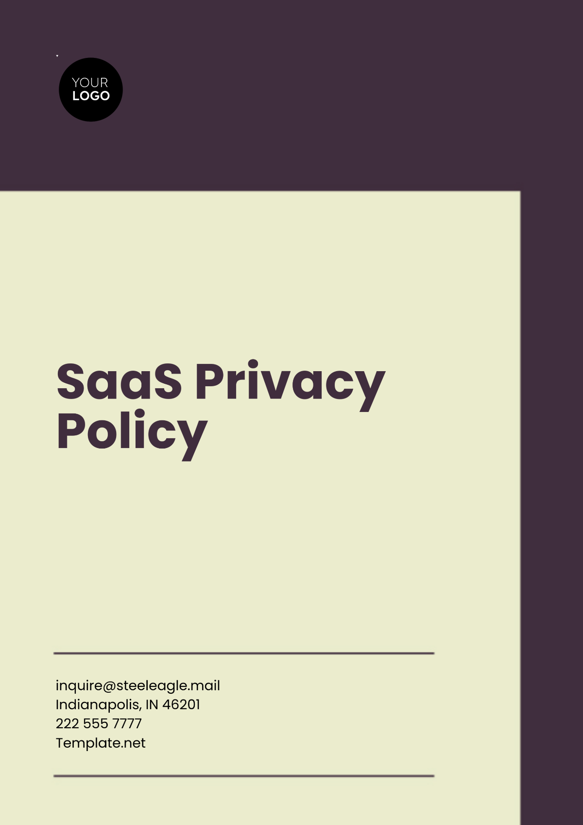 SaaS Privacy Policy Template - Edit Online & Download