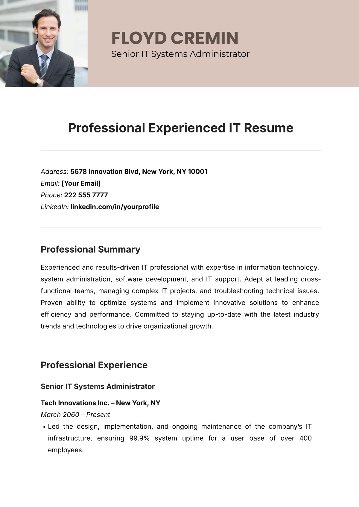 Professional Experienced IT Resume Template - Edit Online & Download