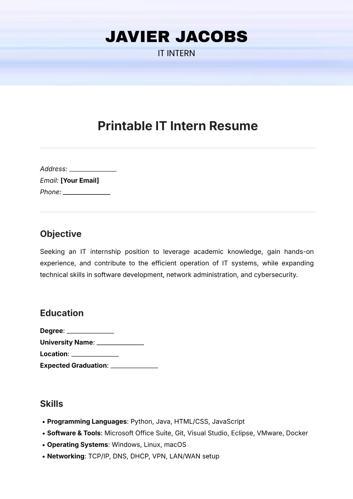 Printable IT Intern Resume Template - Edit Online & Download