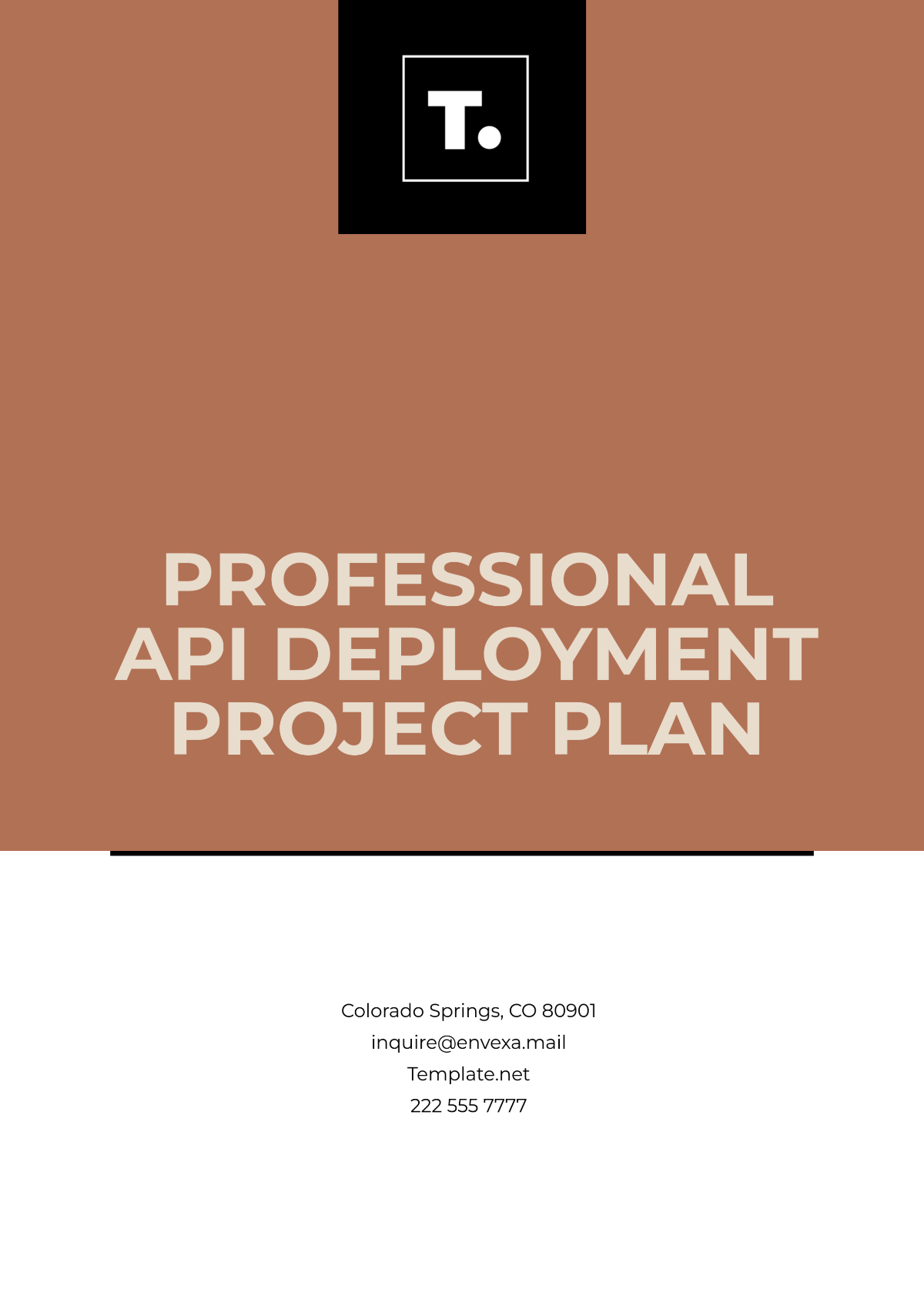 Professional API Deployment Project Plan Template - Edit Online & Download