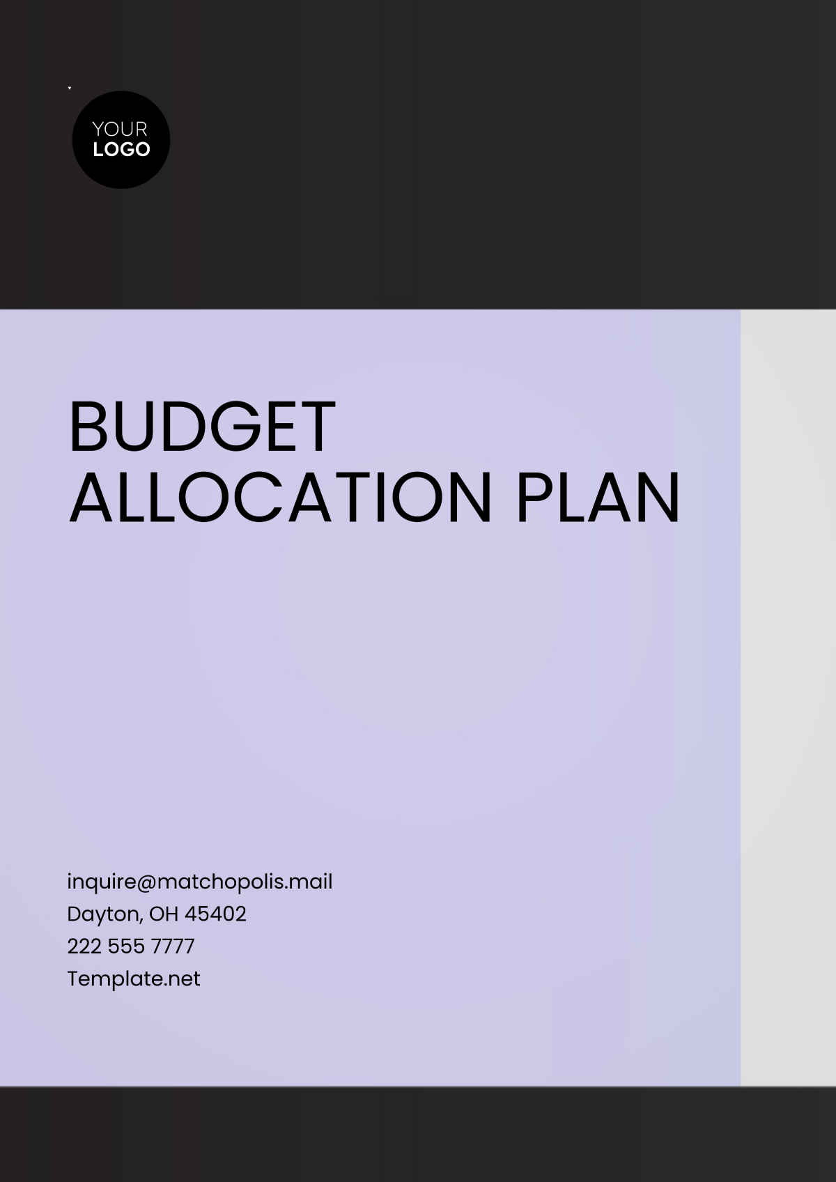 Budget Allocation Plan Template - Edit Online & Download