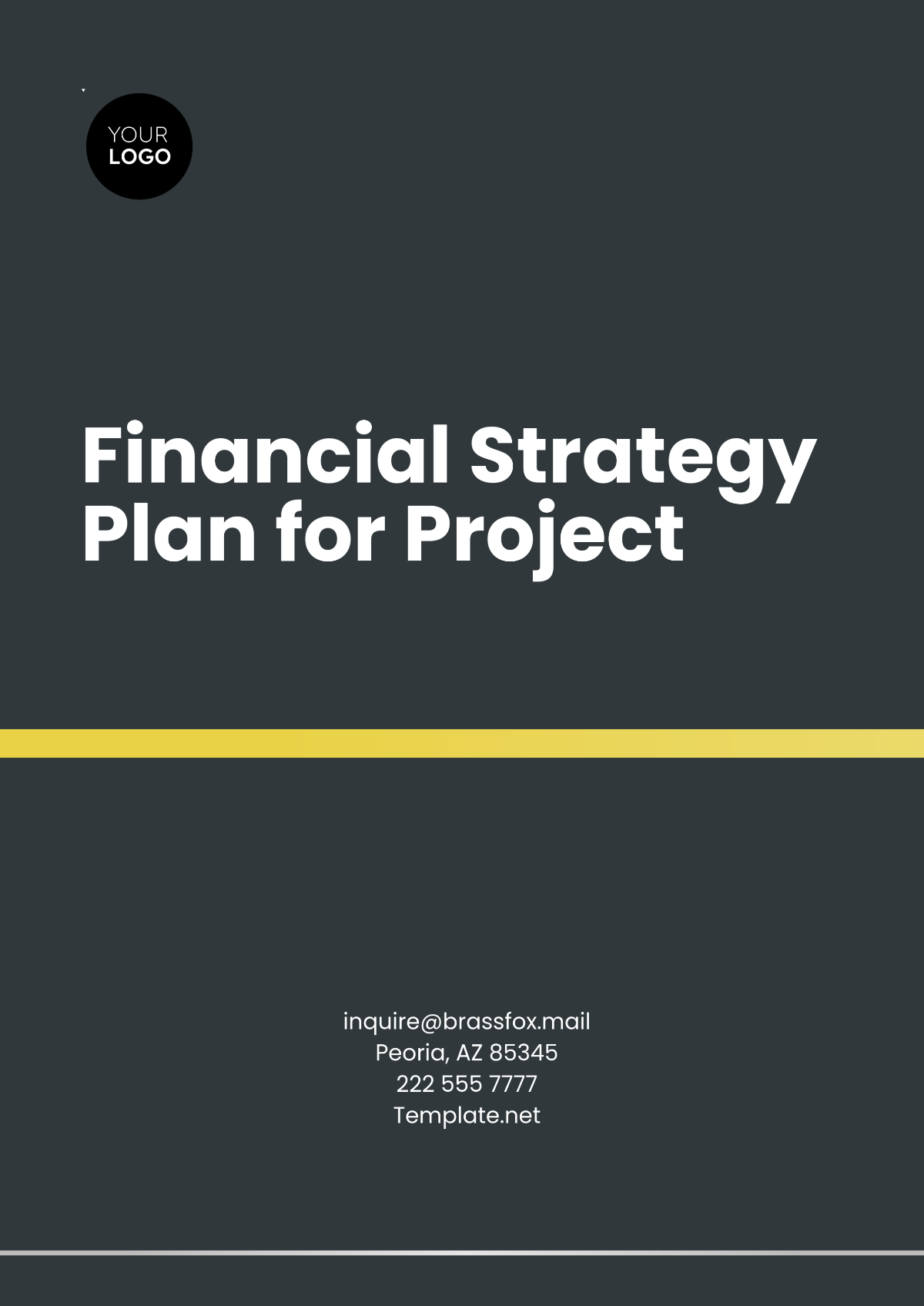 Financial Strategy Plan for Project Template - Edit Online & Download