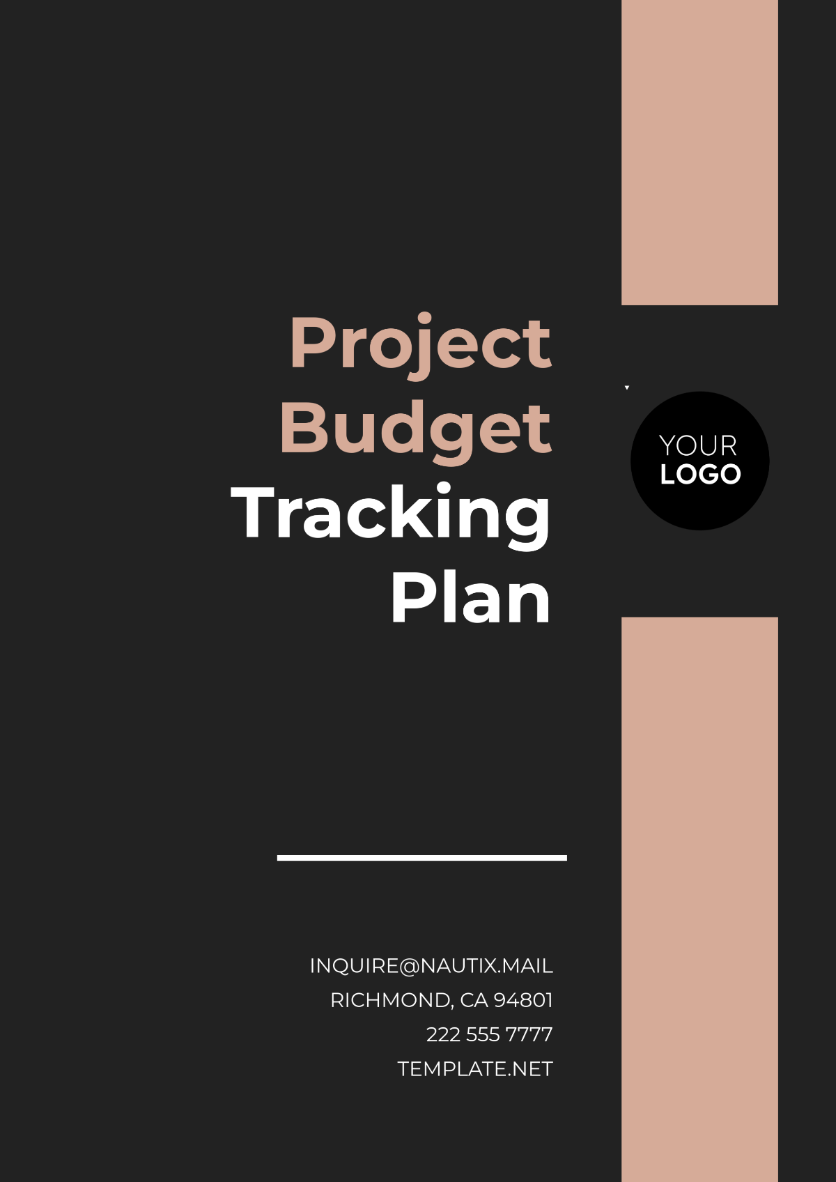 Project Budget Tracking Plan Outline Template - Edit Online & Download