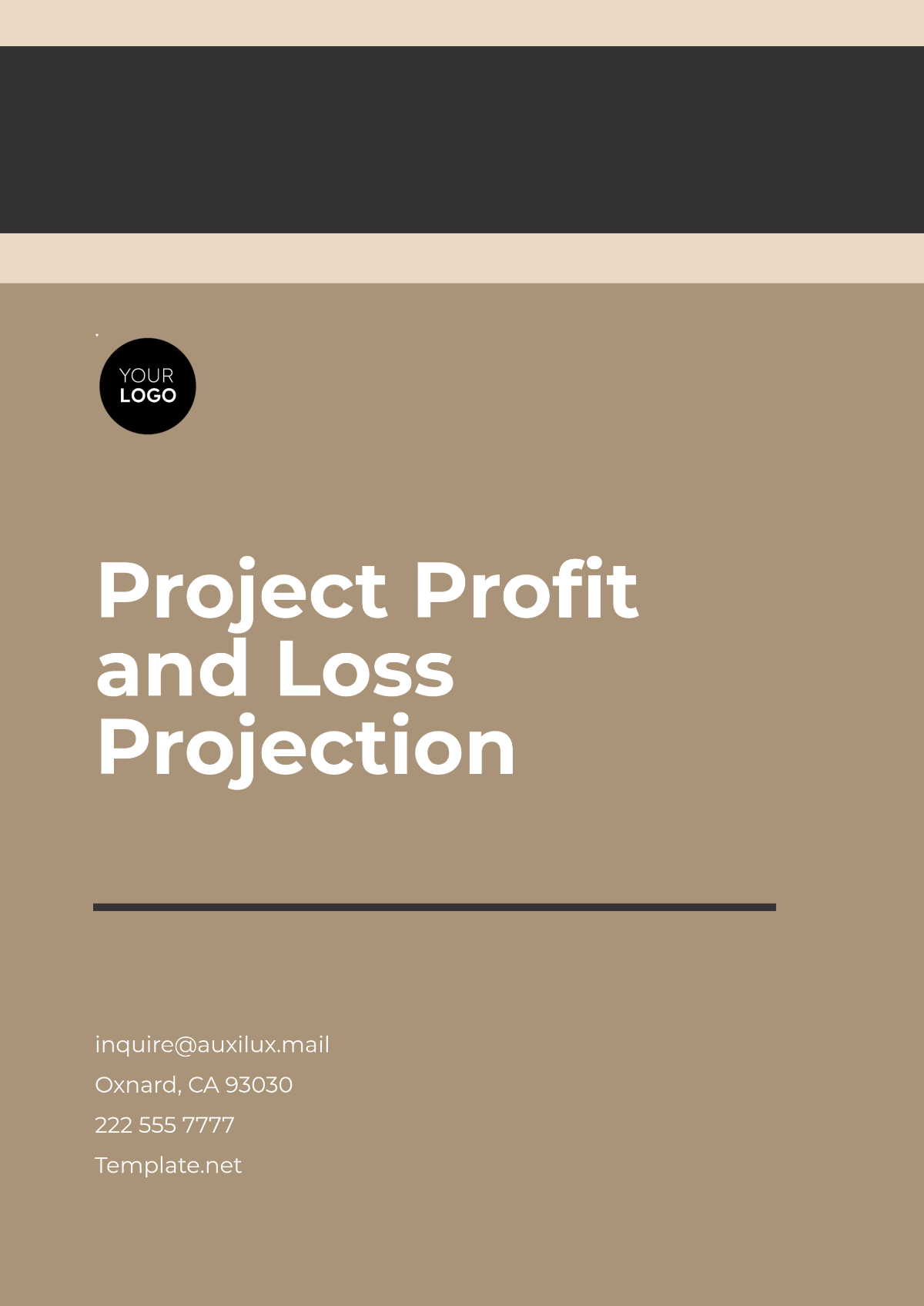 Sample Project Profit and Loss Projection Template - Edit Online & Download