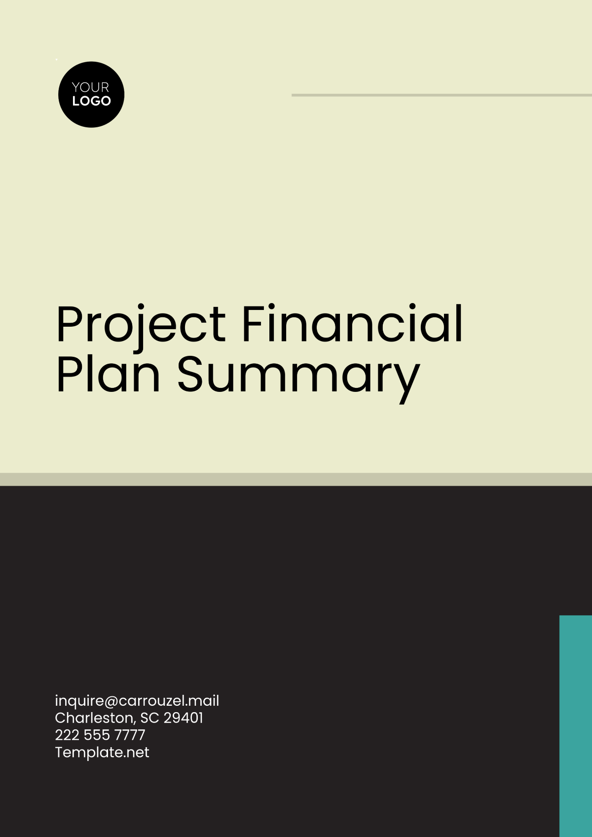 Project Financial Plan Summary Format Template - Edit Online & Download