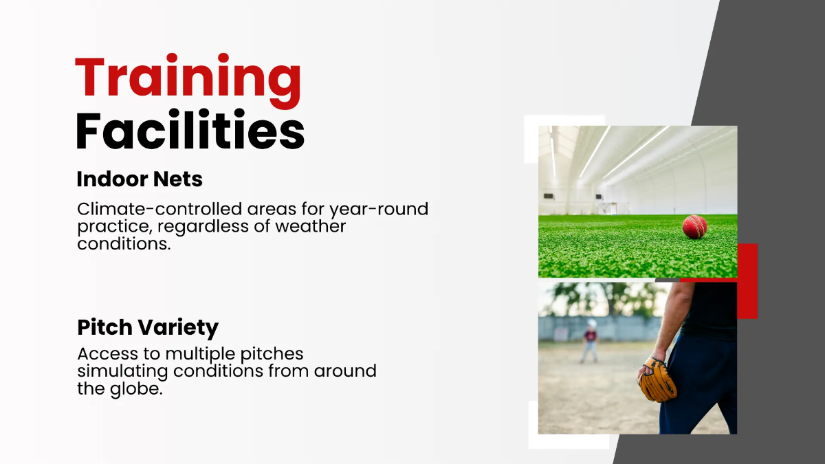 Free Cricket Presentation Template to Edit Online