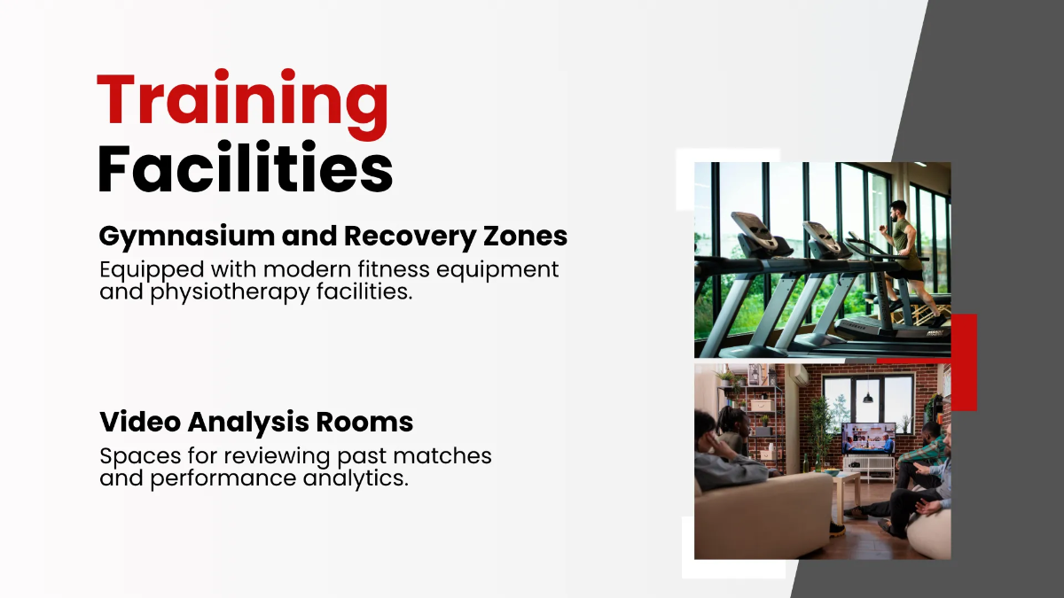 Free Cricket Presentation Template to Edit Online