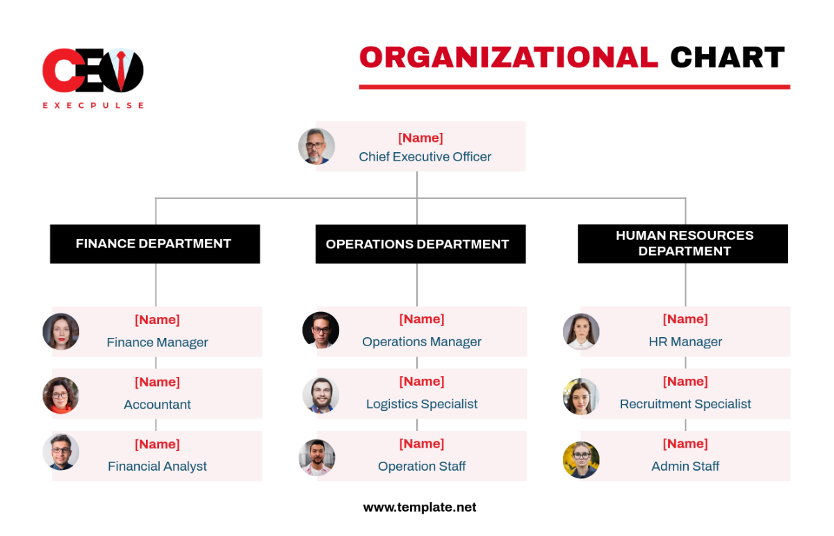 CEO Organizational Chart Template - Edit Online & Download