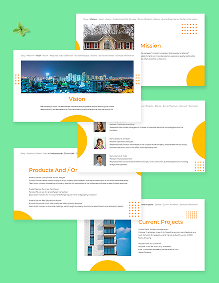 Real Estate Agency Profile Template Format