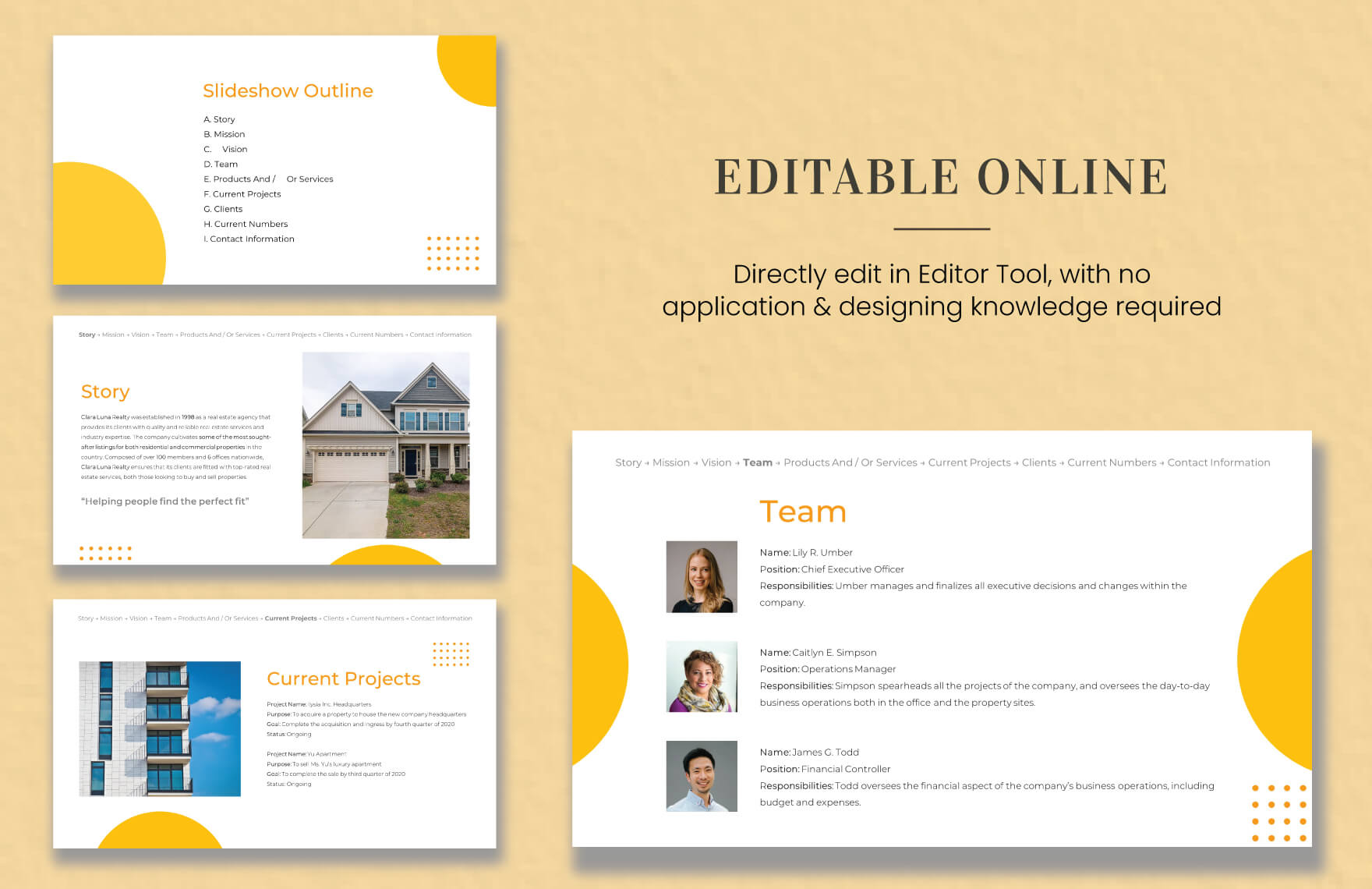 Real Estate Agency Profile Template