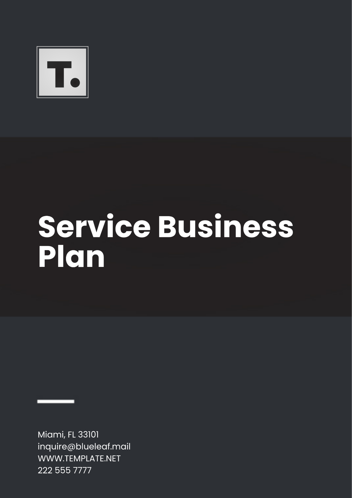 Service Business Plan Template - Edit Online & Download