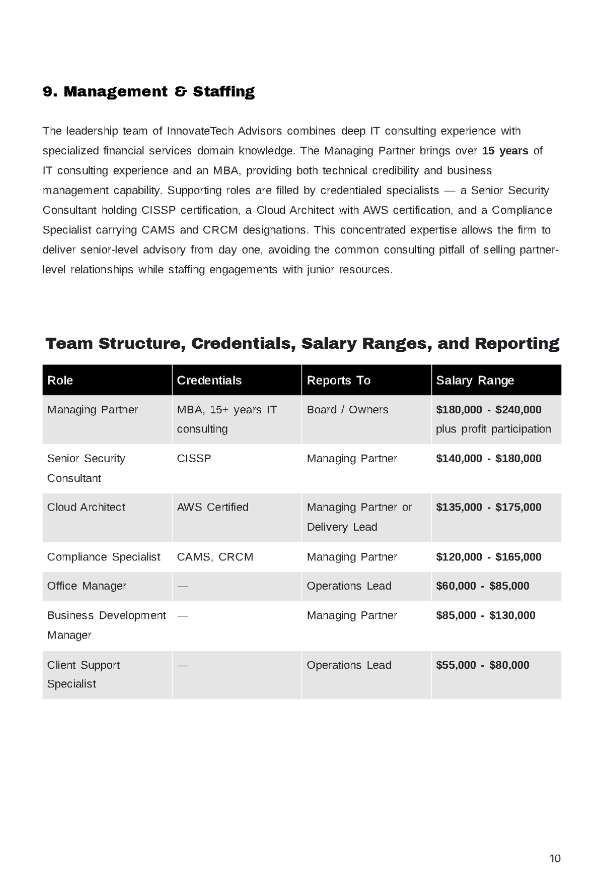 Free IT Consulting Service Business Plan Template to Edit Online