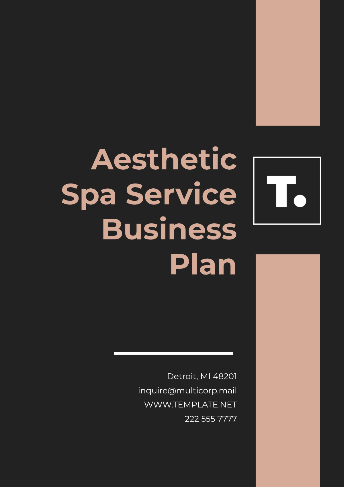 Aesthetic Spa Service Business Plan Template - Edit Online & Download