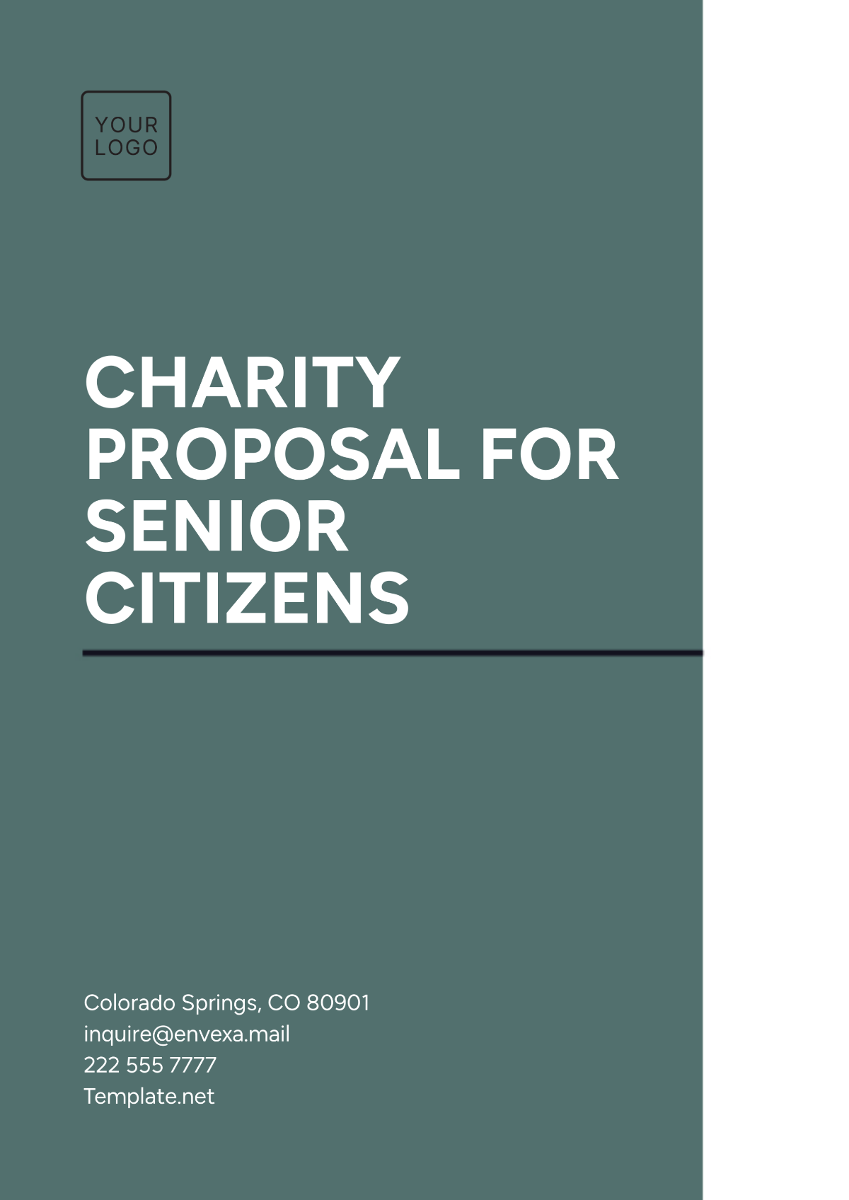 Charity Proposal for Senior Citizens Template - Edit Online & Download