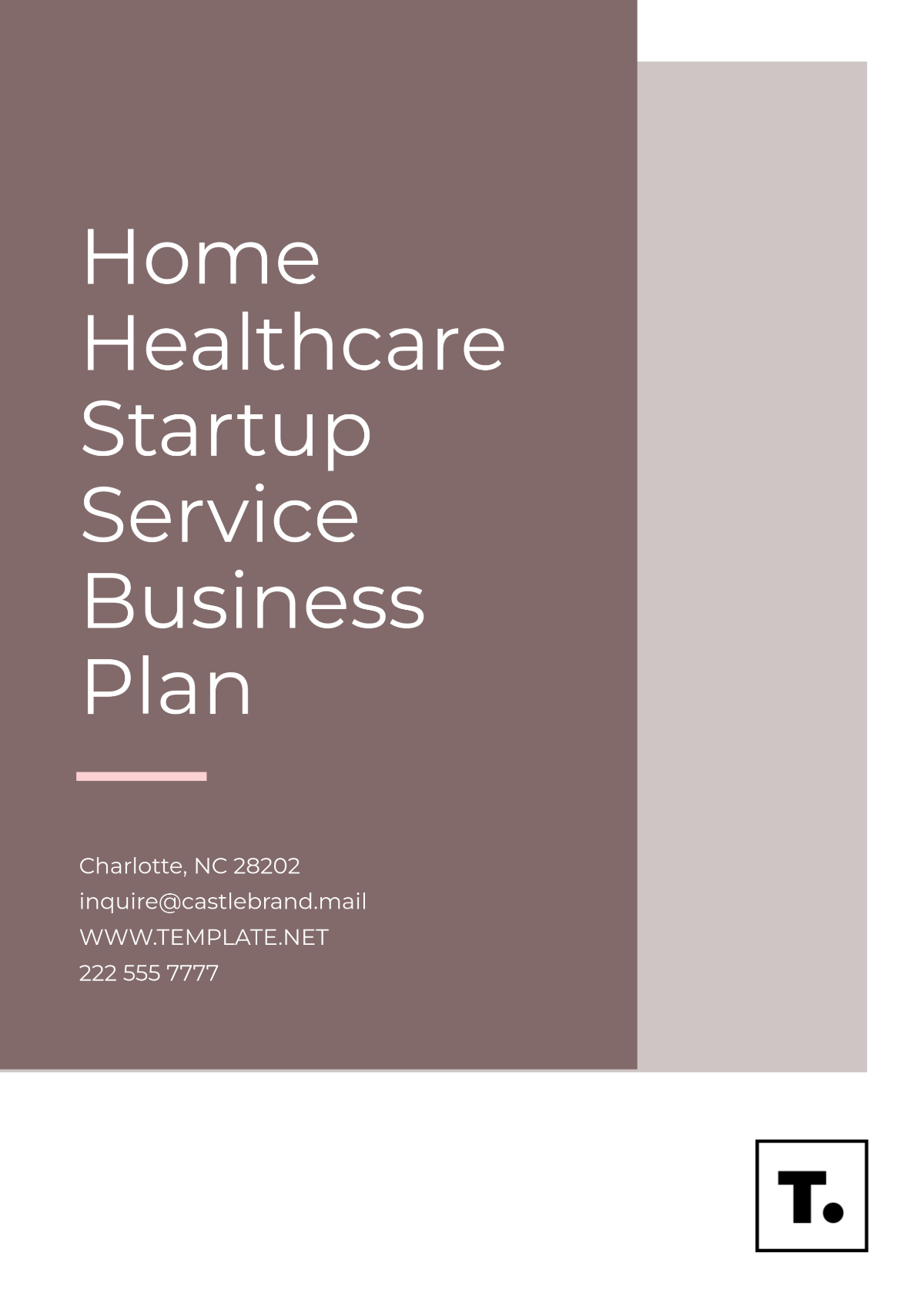 Home Healthcare Startup Service Business Plan Template - Edit Online & Download