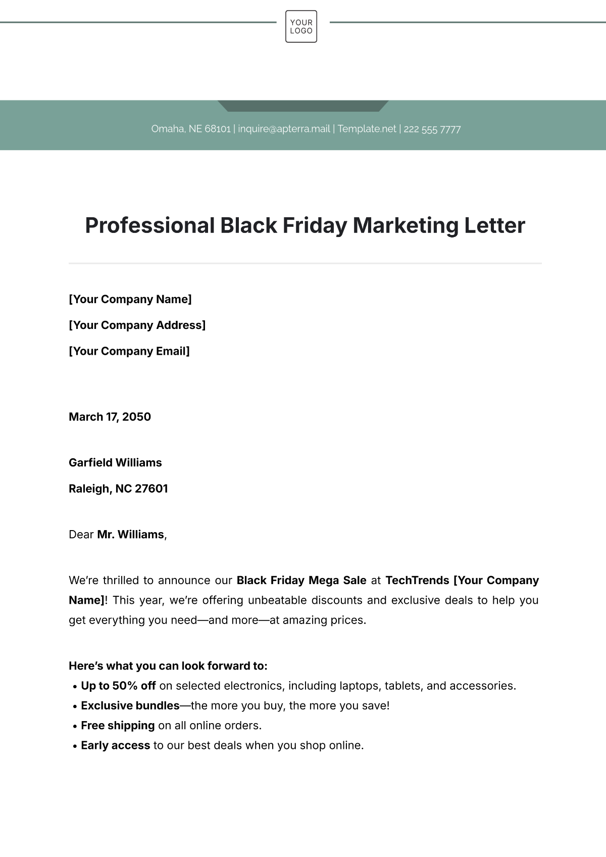 Professional Black Friday Marketing Letter Template