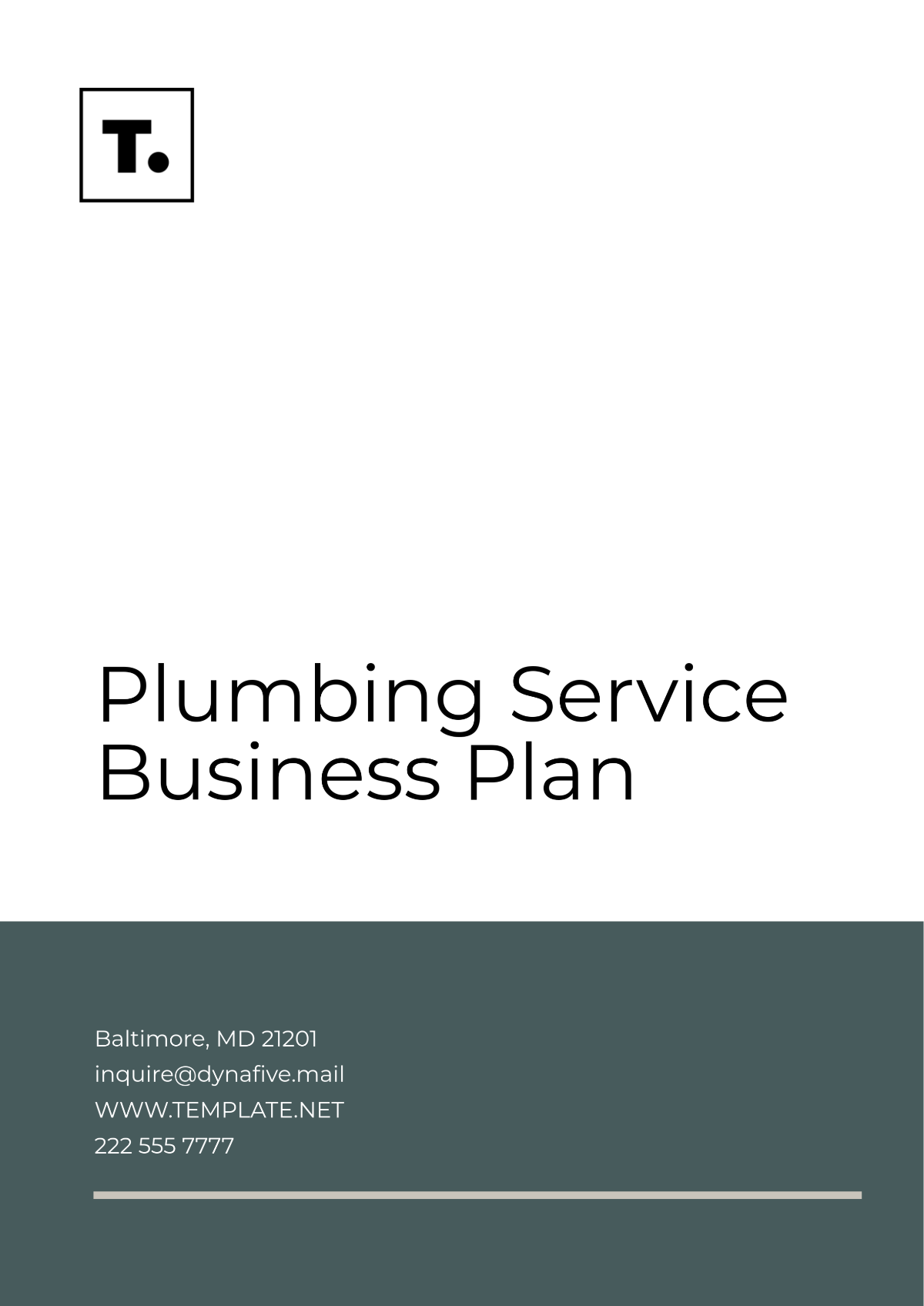 Plumbing Service Business Plan Template - Edit Online & Download