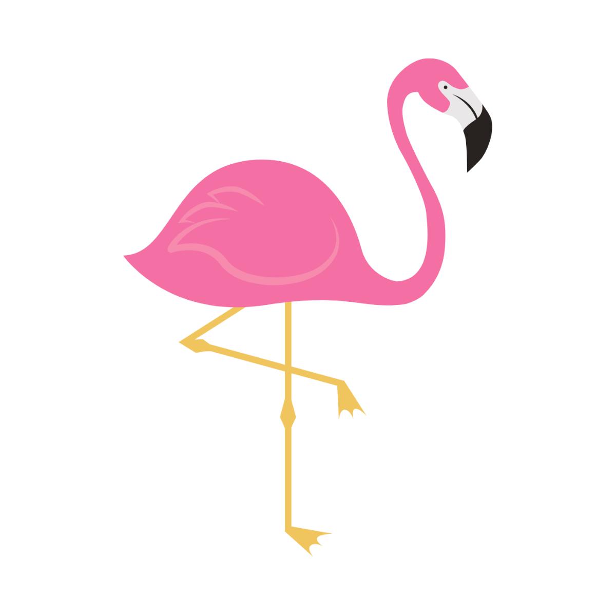 Pink Flamingo Clipart - Edit Online | Template.net