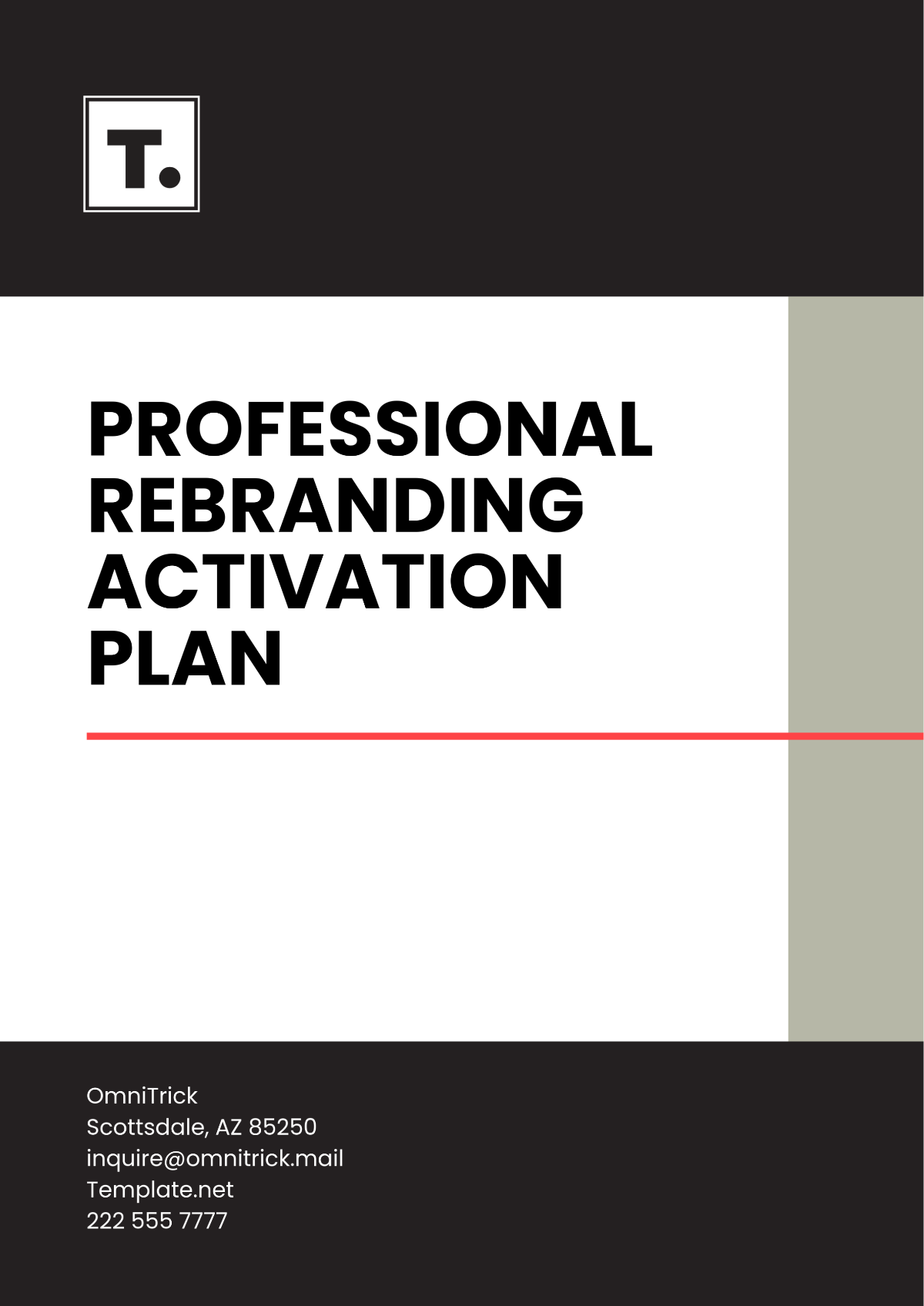 Professional Rebranding Activation Plan Template - Edit Online & Download