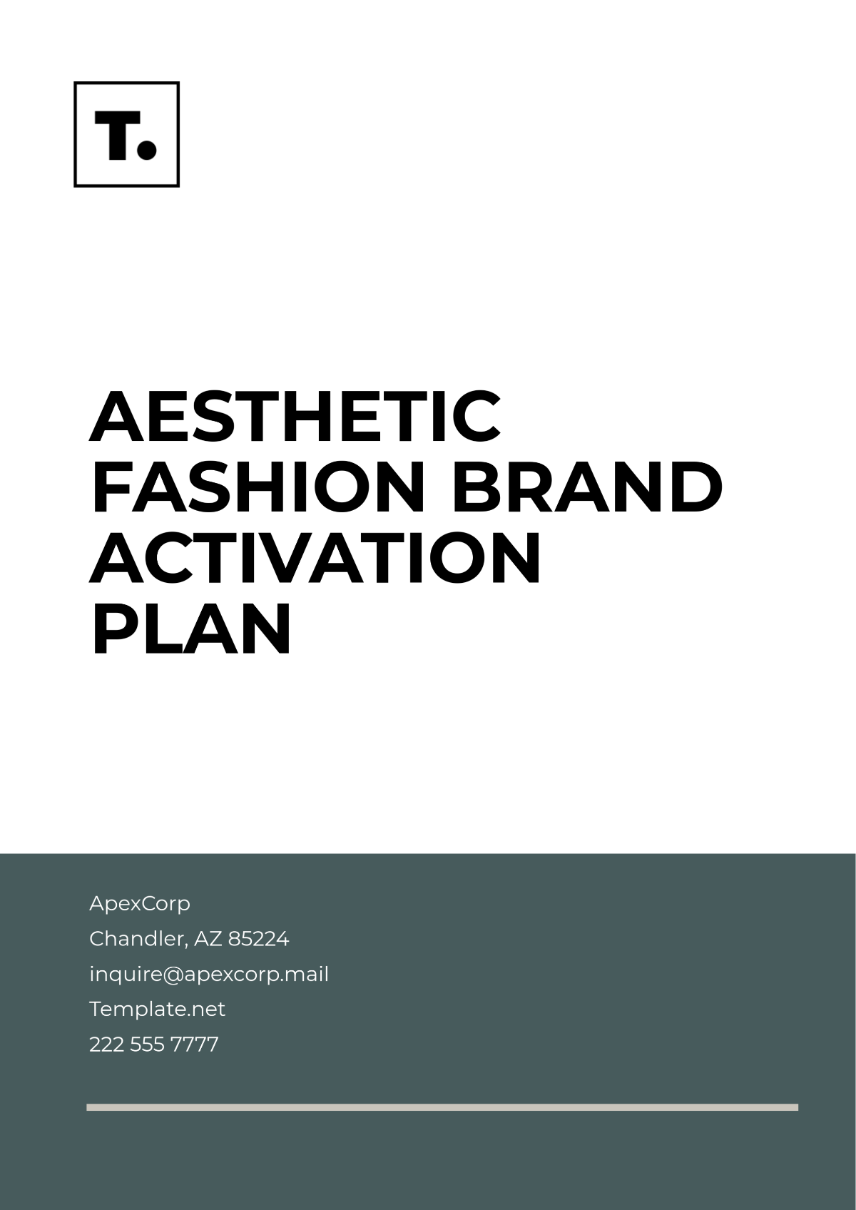 Aesthetic Fashion Brand Activation Plan Template - Edit Online & Download