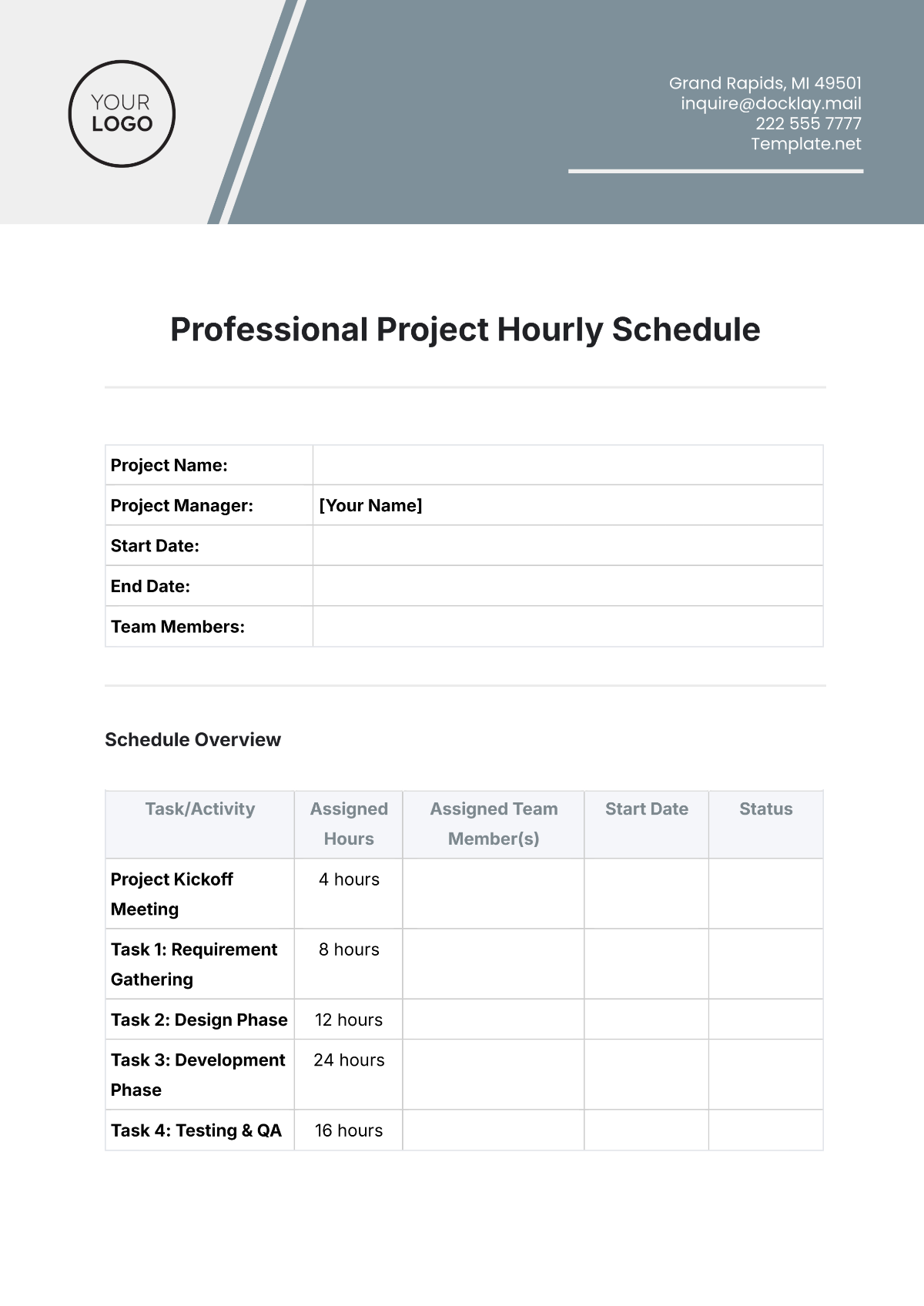 Professional Project Hourly Schedule Template - Edit Online & Download