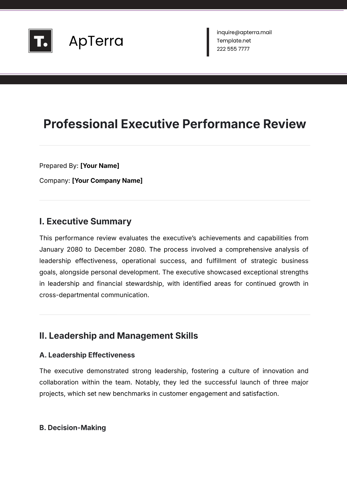 Free Professional Executive Performance Review Template