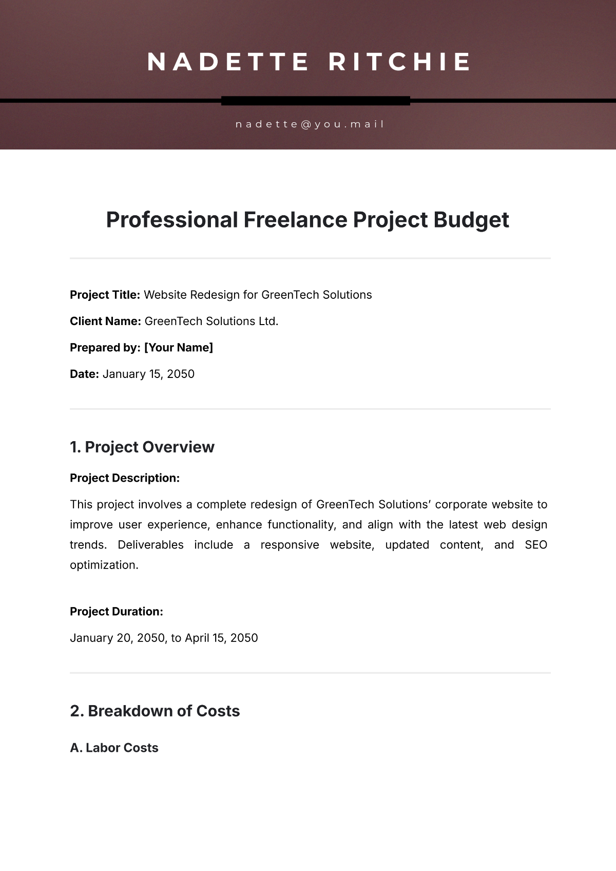 Free Professional Freelance Project Budget Template to Edit Online