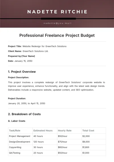Free Professional Freelance Project Budget Template to Edit Online