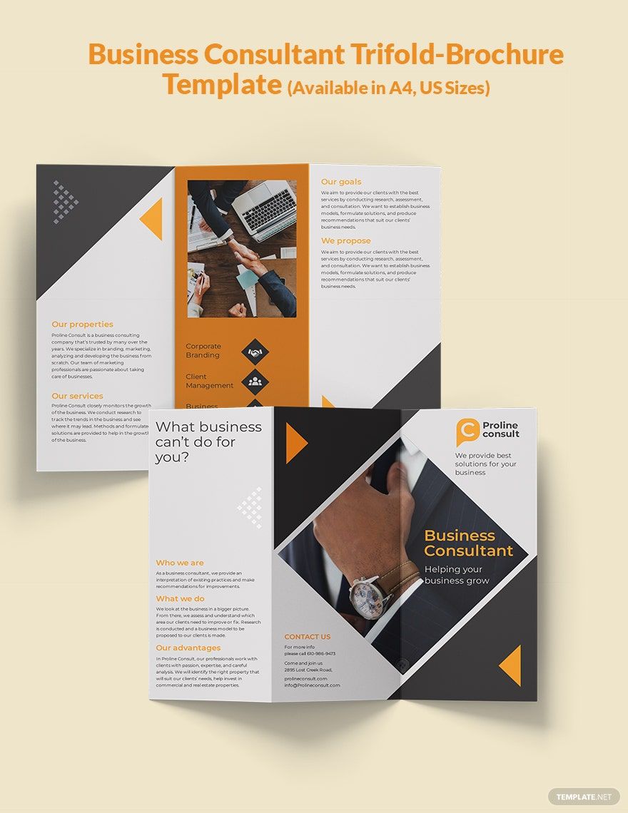 Business Consultant Tri-Fold Brochure Template