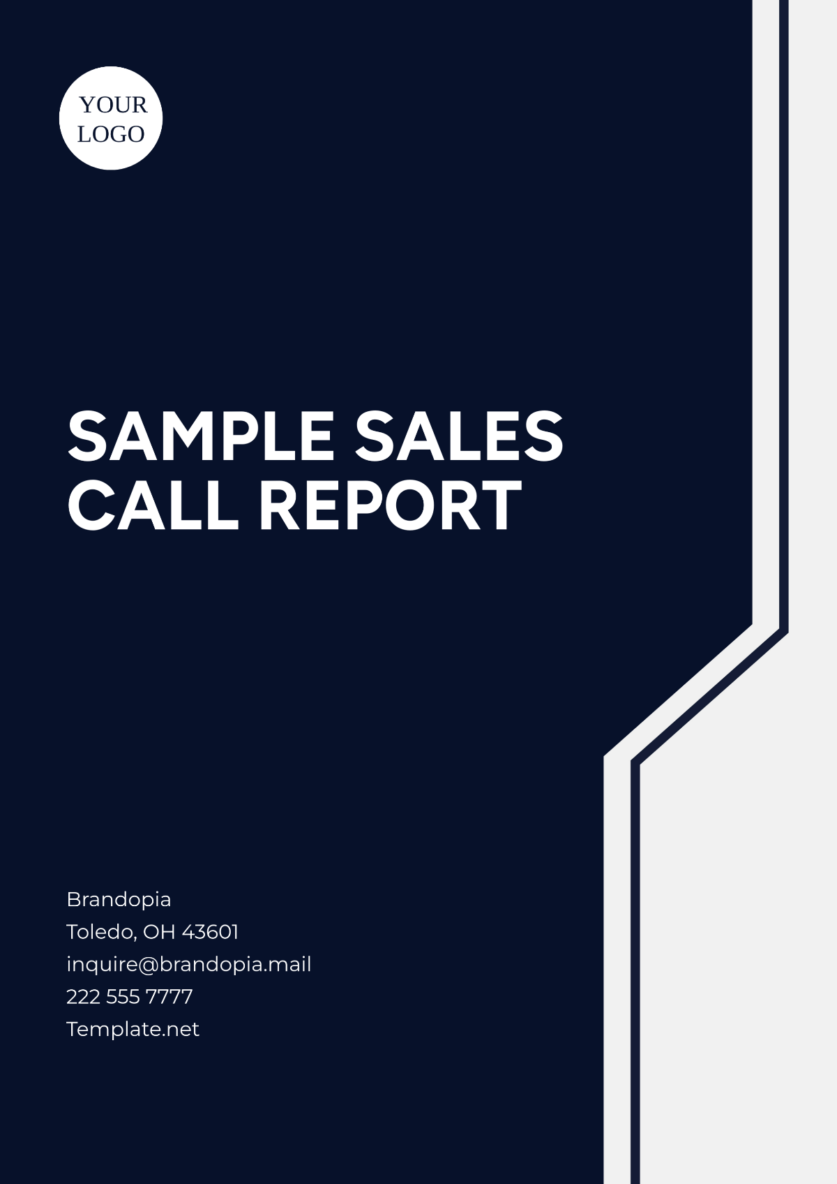 Sample Sales Call Report Template - Edit Online & Download