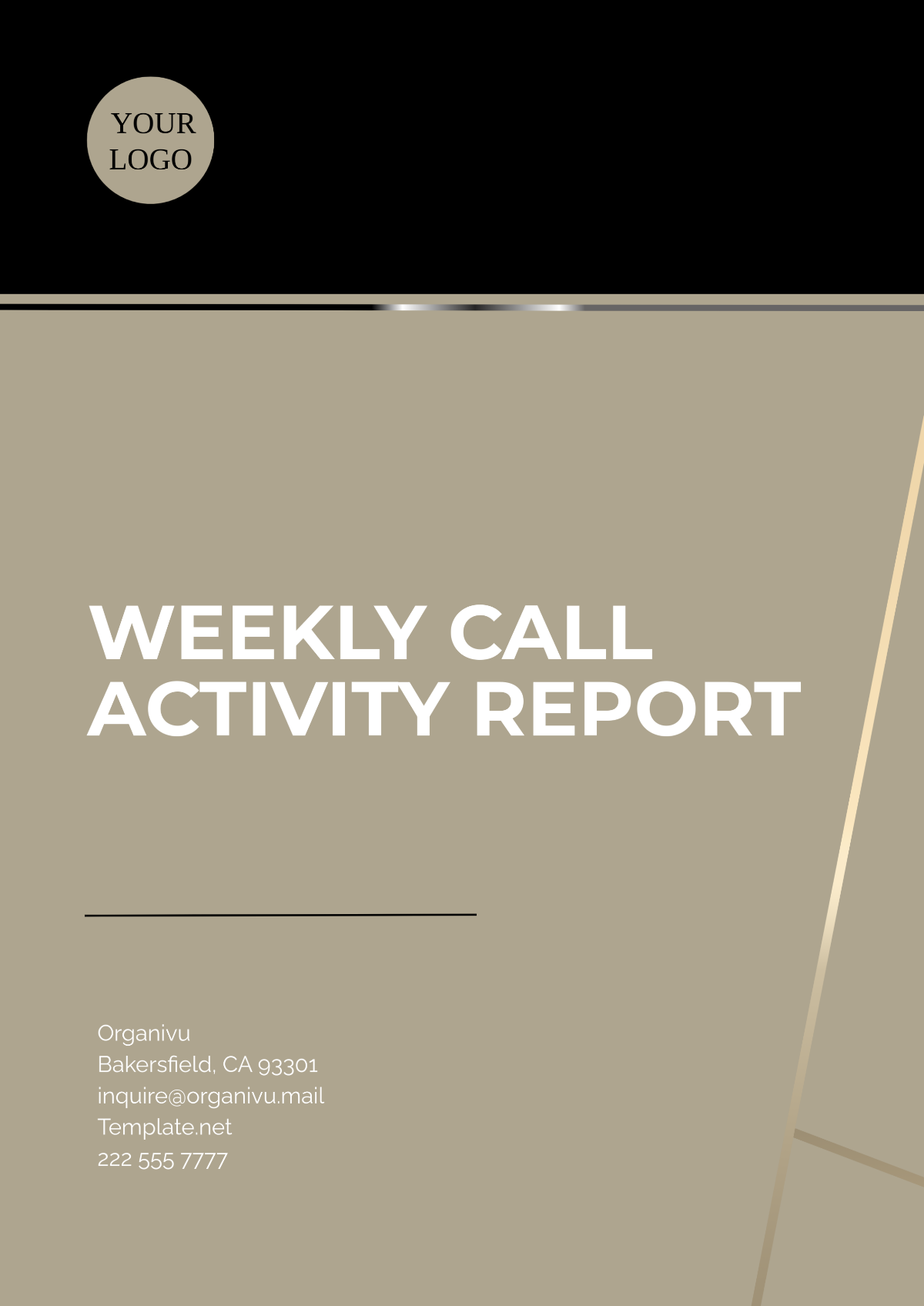 Free Weekly Call Activity Report Template