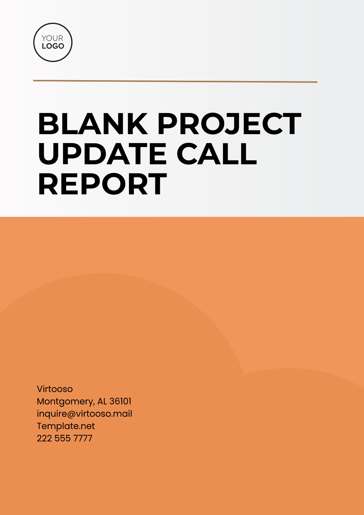 Free Blank Project Update Call Report Template