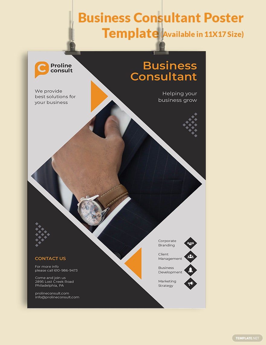 Business Consultant Poster Template