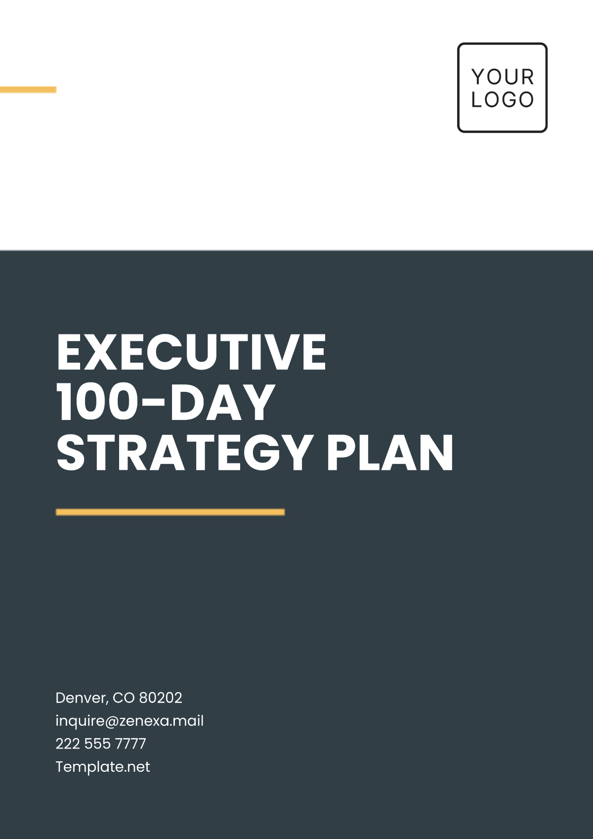 Free Executive 100-Day Strategy Plan Template