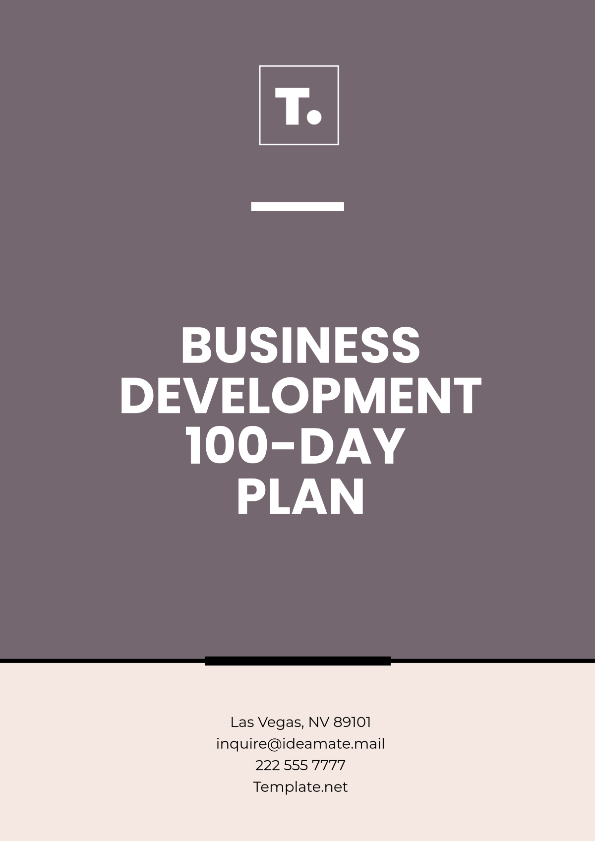 Free Business Development 100-Day Plan Template