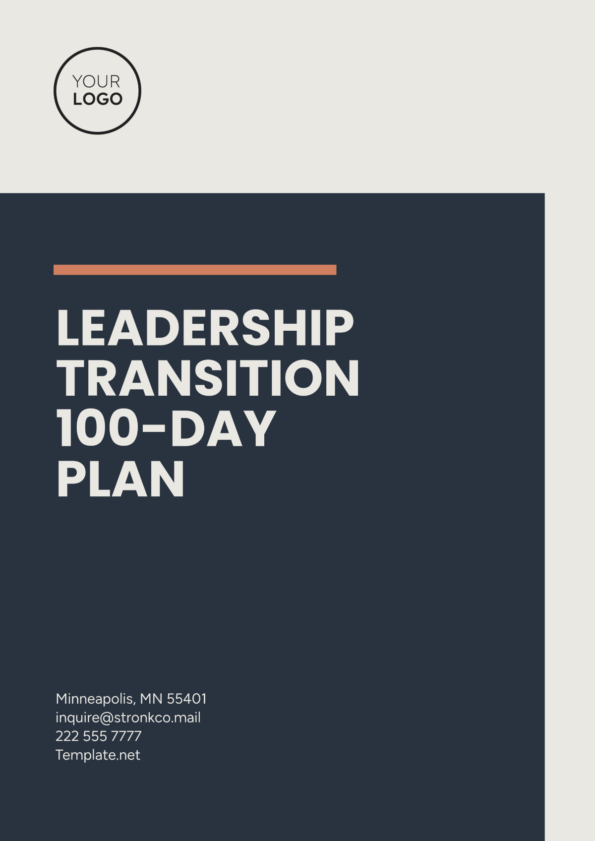 Free Leadership Transition 100-Day Plan Template