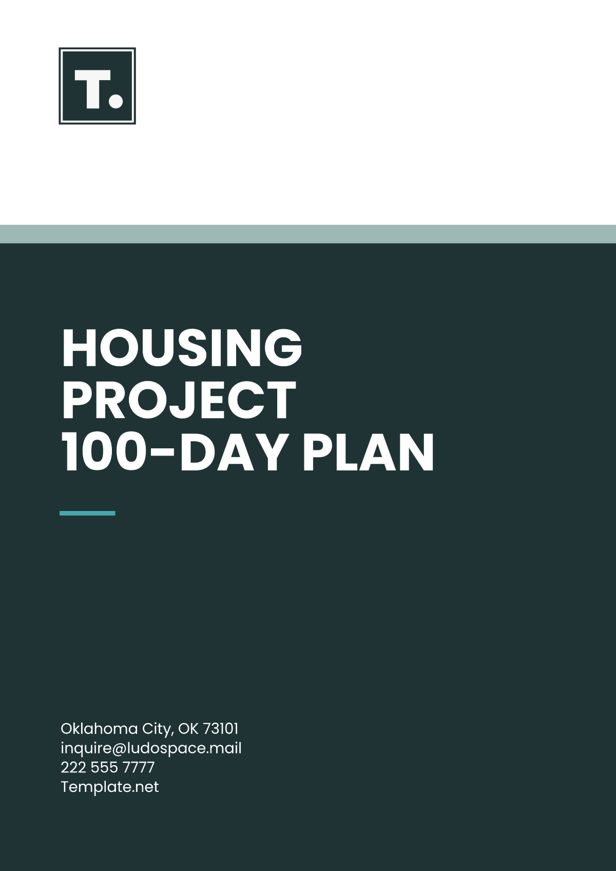 Free Housing Project 100-Day Plan Template