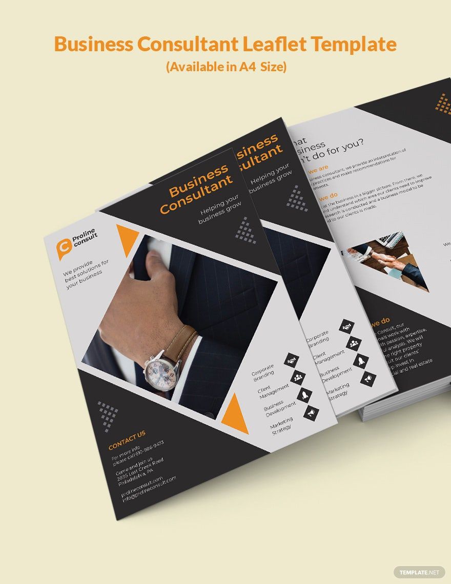 Business Consultant Leaflet Template