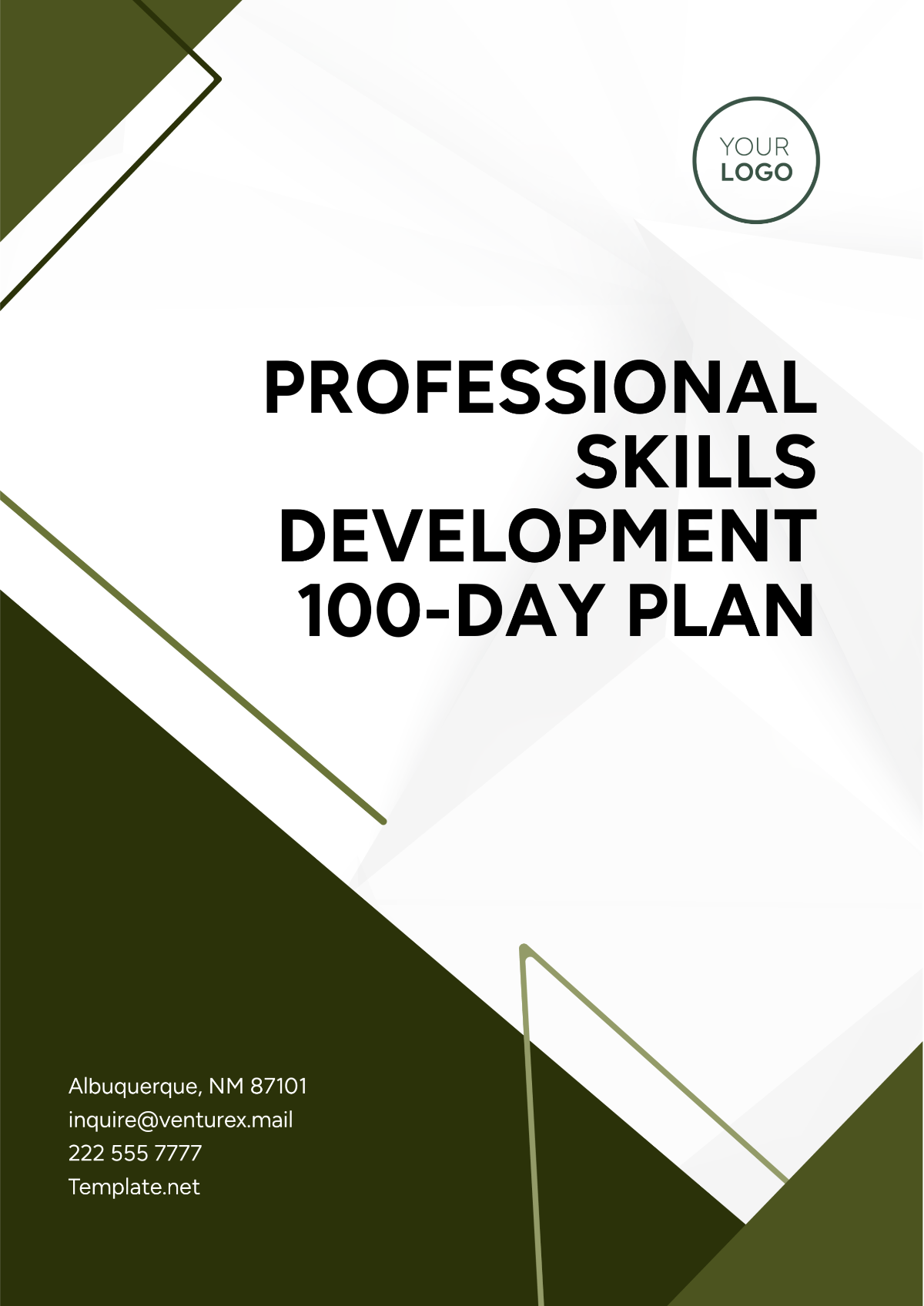 Free Professional Skills Development 100-Day Plan Template