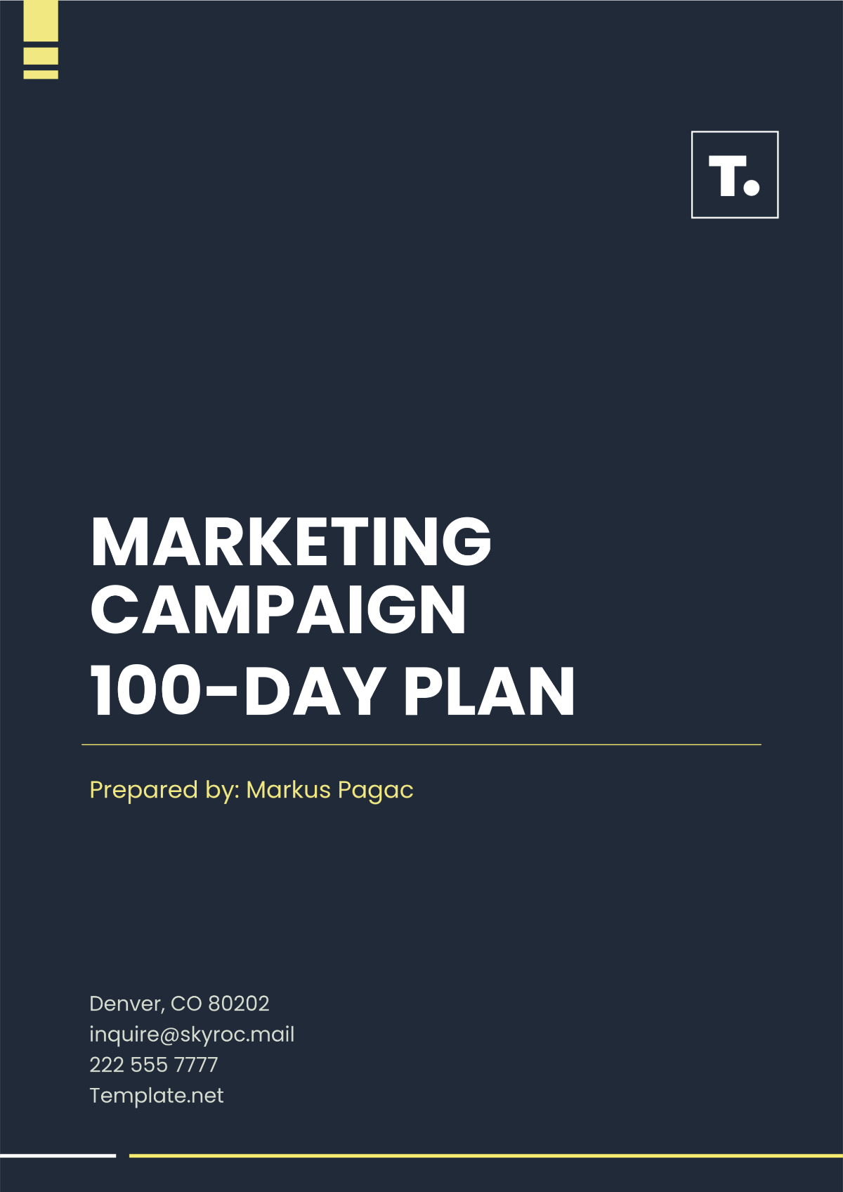 Free Marketing Campaign 100-Day Plan Template