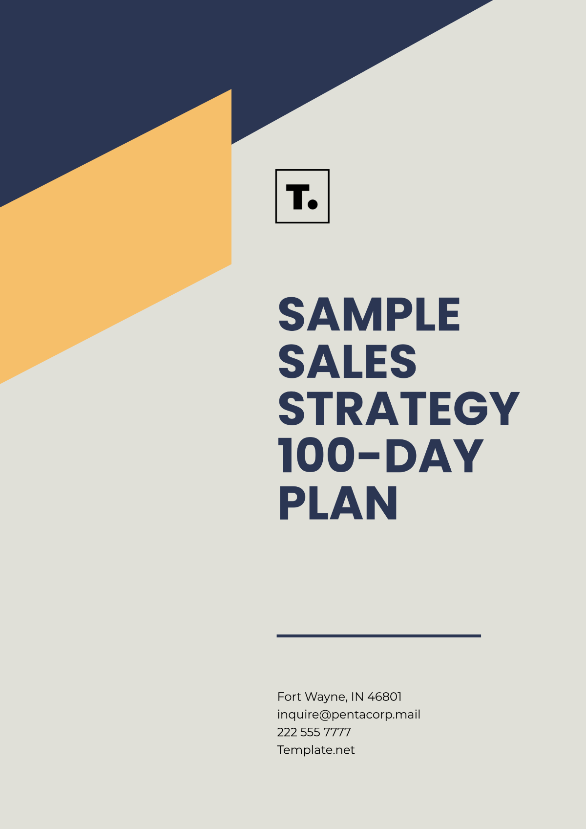 Free Sample Sales Strategy 100-Day Plan Template