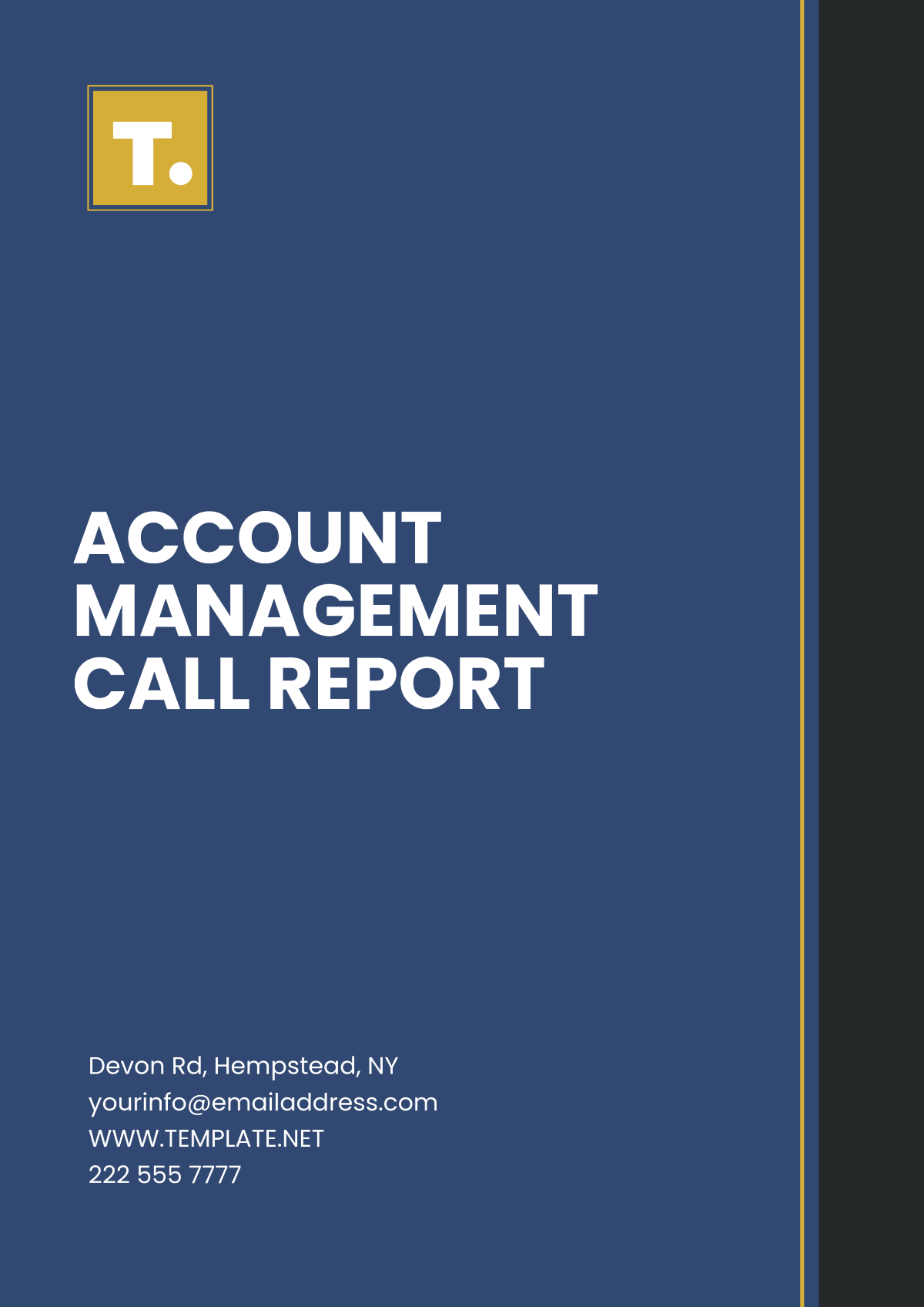 Free Account Management Call Report Template