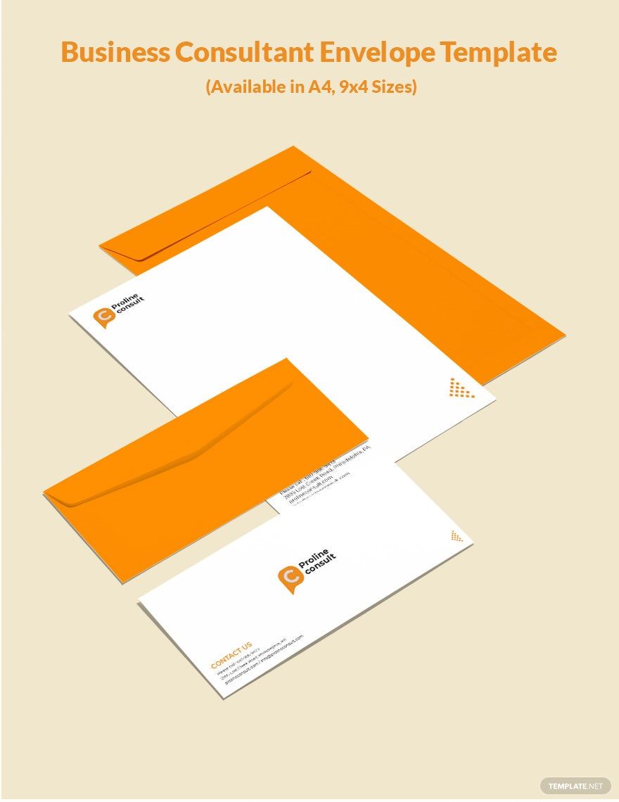 Business Consultant Envelope Template
