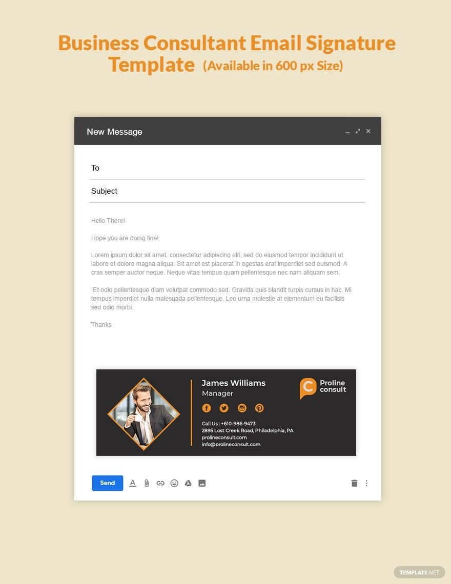Business Consultant Email Signature Template